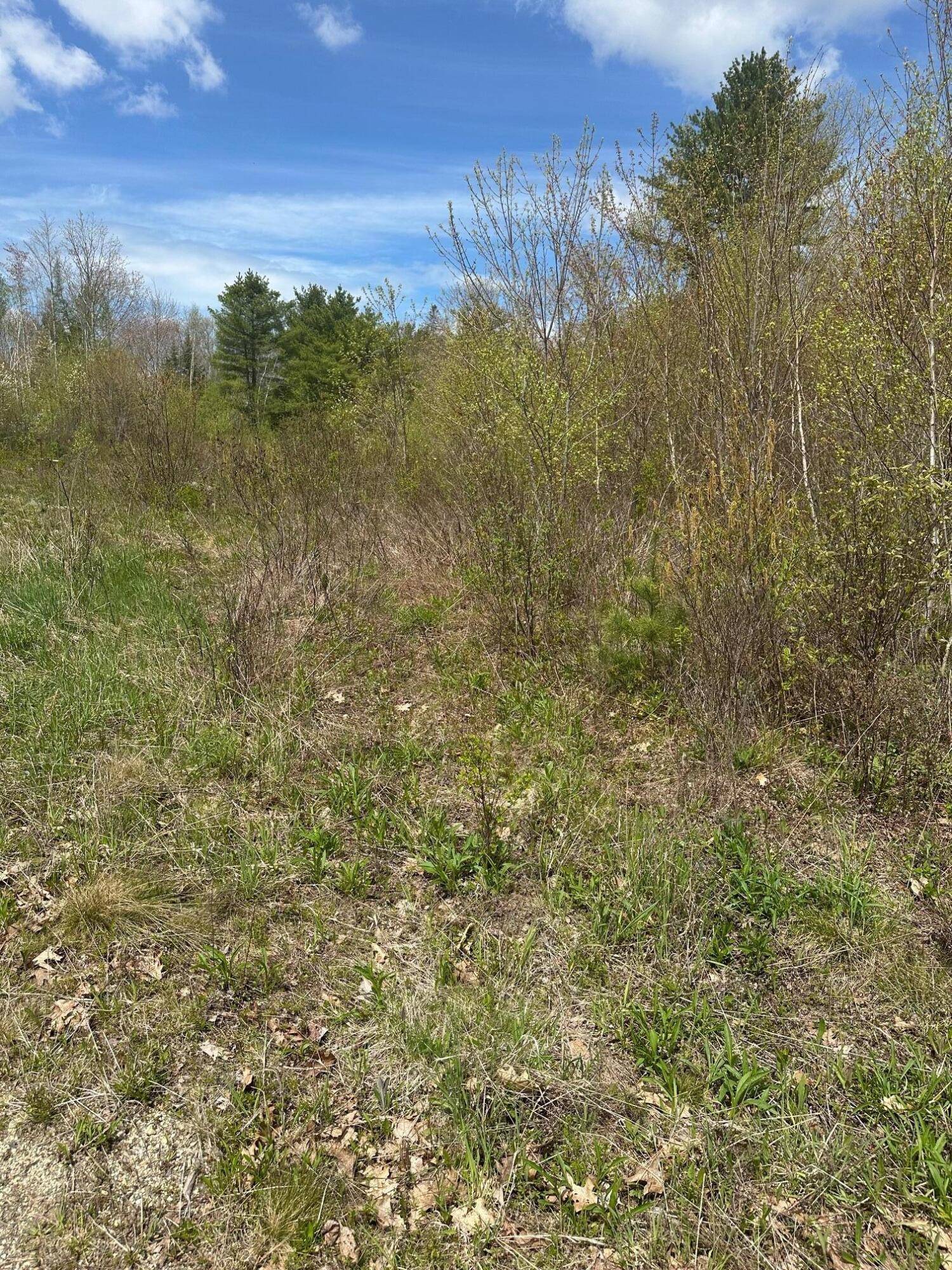 Steuben, ME 04680,M22 L38 Unionville RD