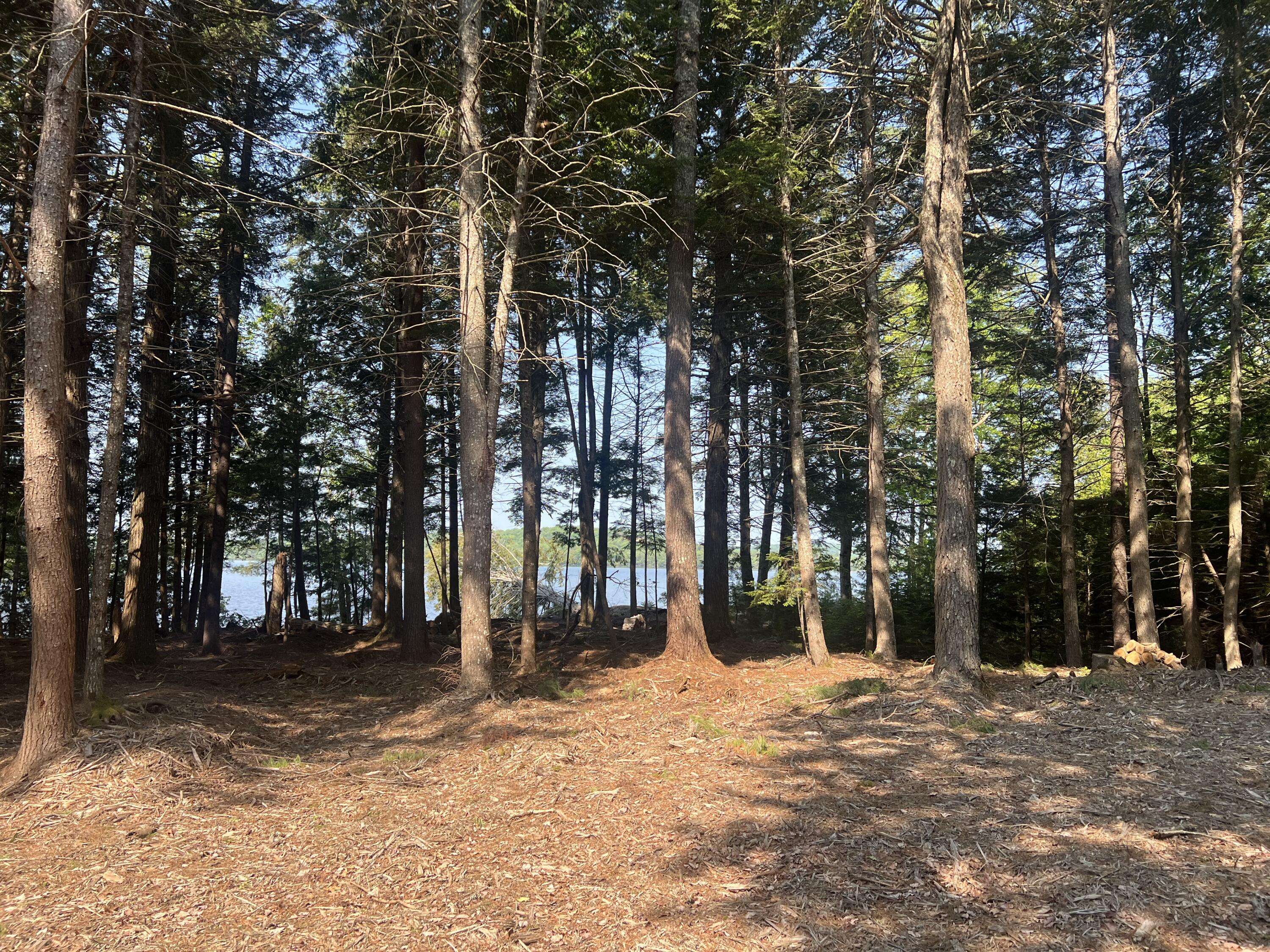 Waltham, ME 04605,3 Rt 179 & 50' ROW
