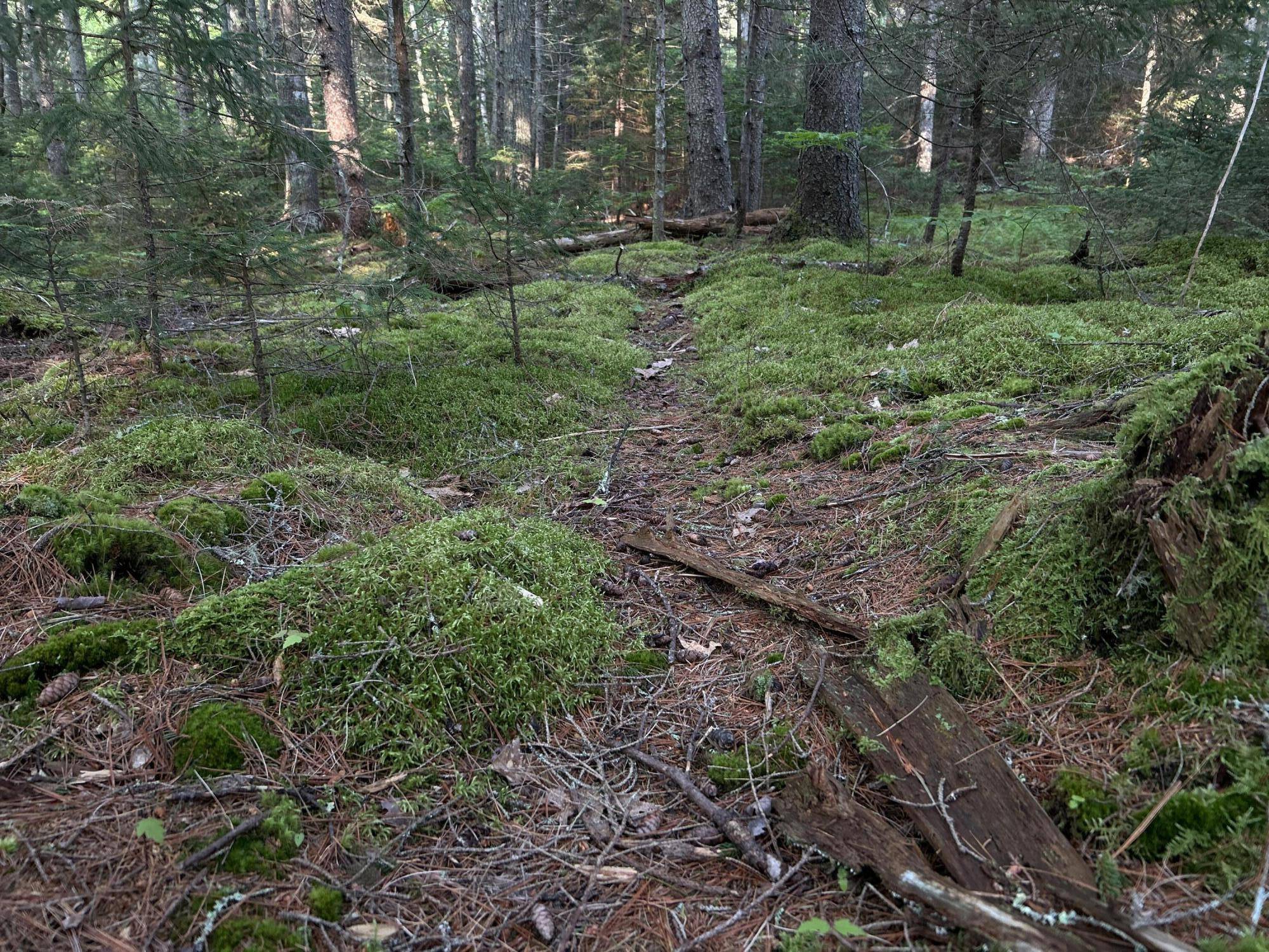 Bristol, ME 04539,M6L54 Bristol RD