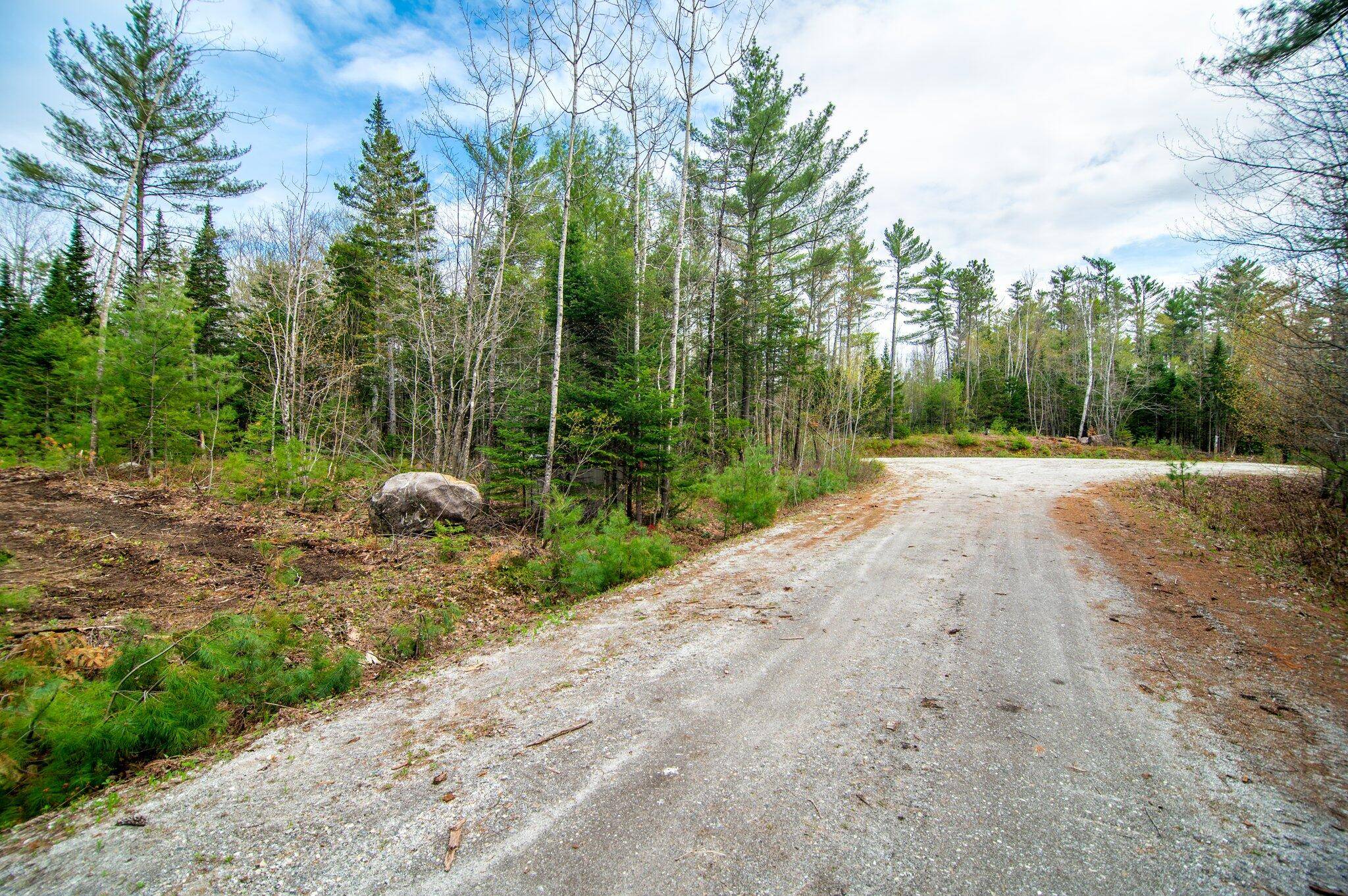 Albany Twp, ME 04217,4 Forest Drive