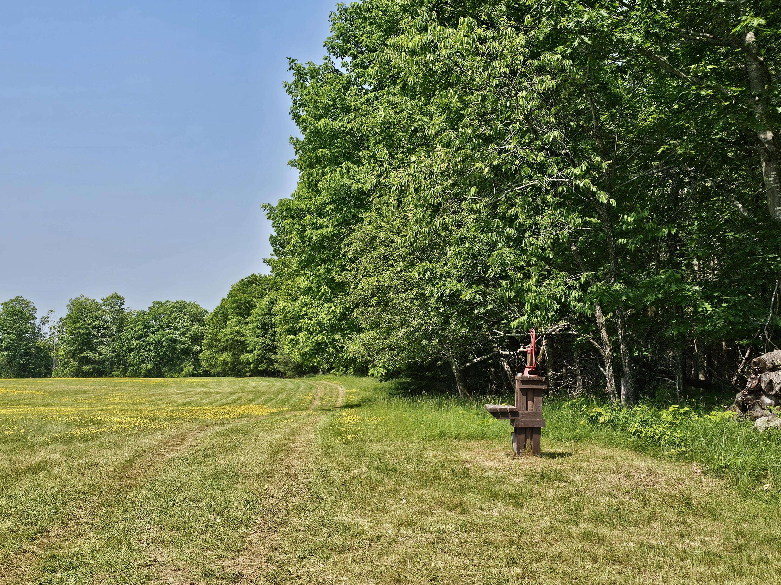 Stetson, ME 04488,Map 10 Lot 16 Stetson RD