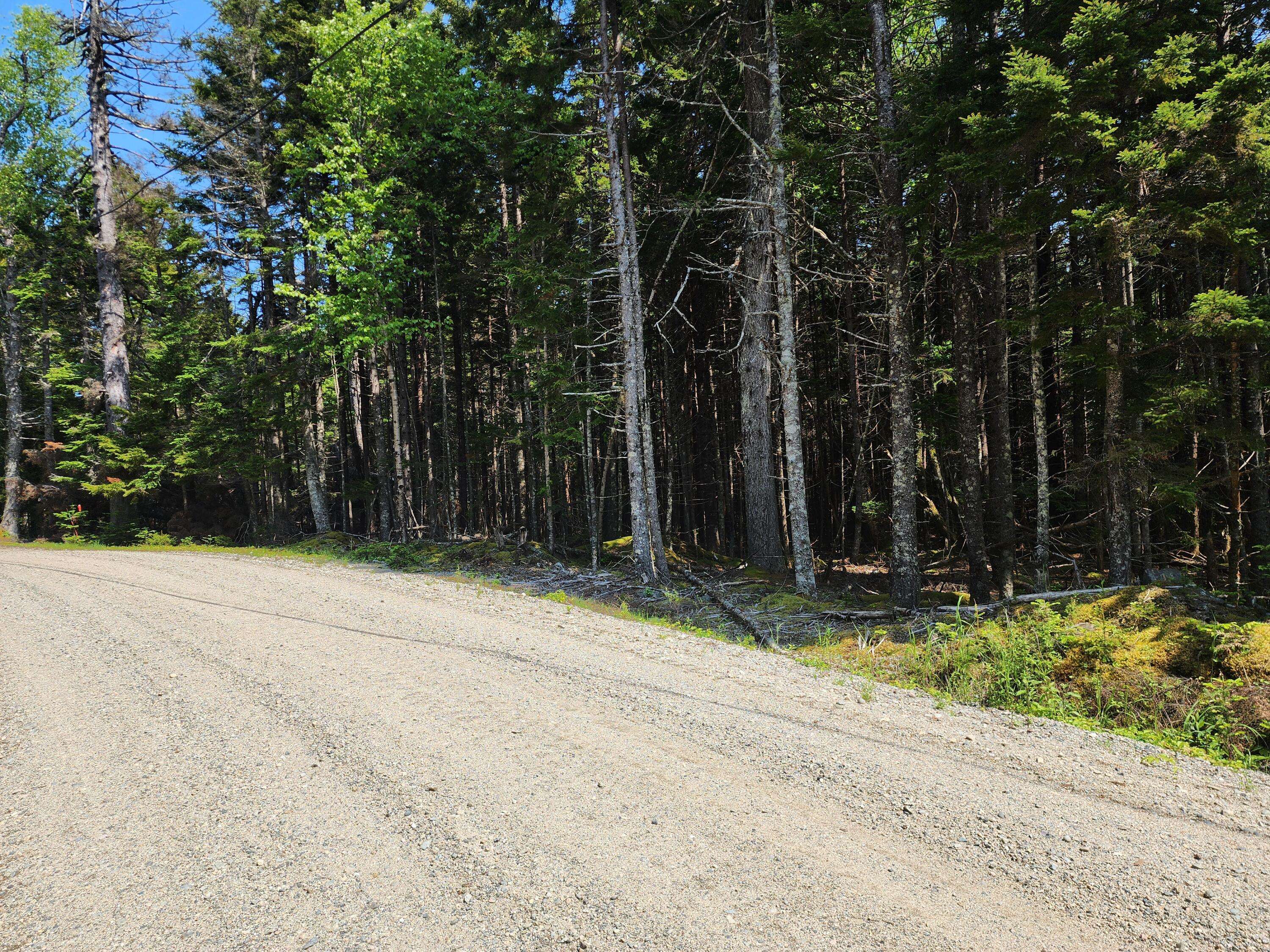 Roque Bluffs, ME 04654,L 25 Chambers Point RD