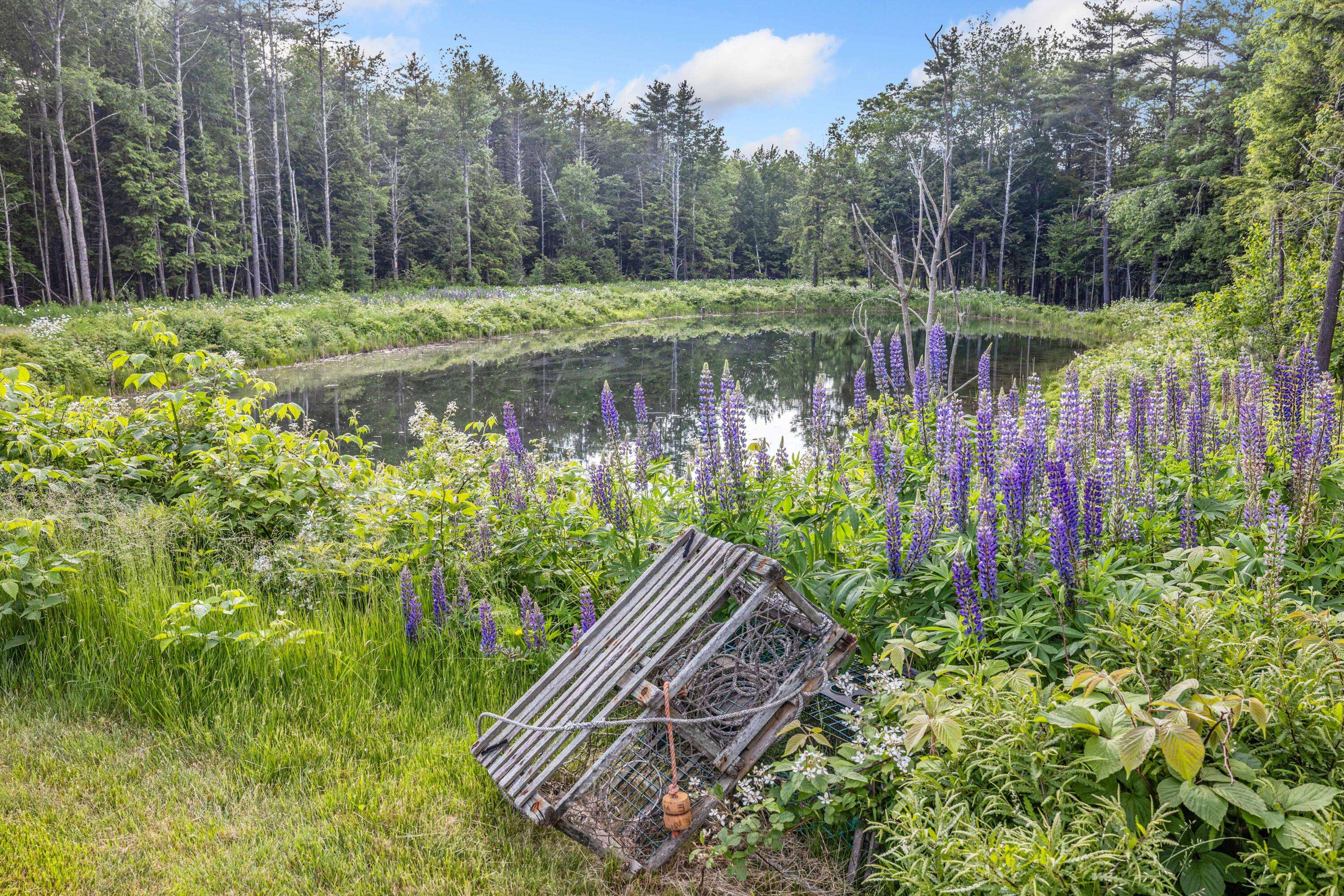 Arundel, ME 04046,18 Frontier WAY #162