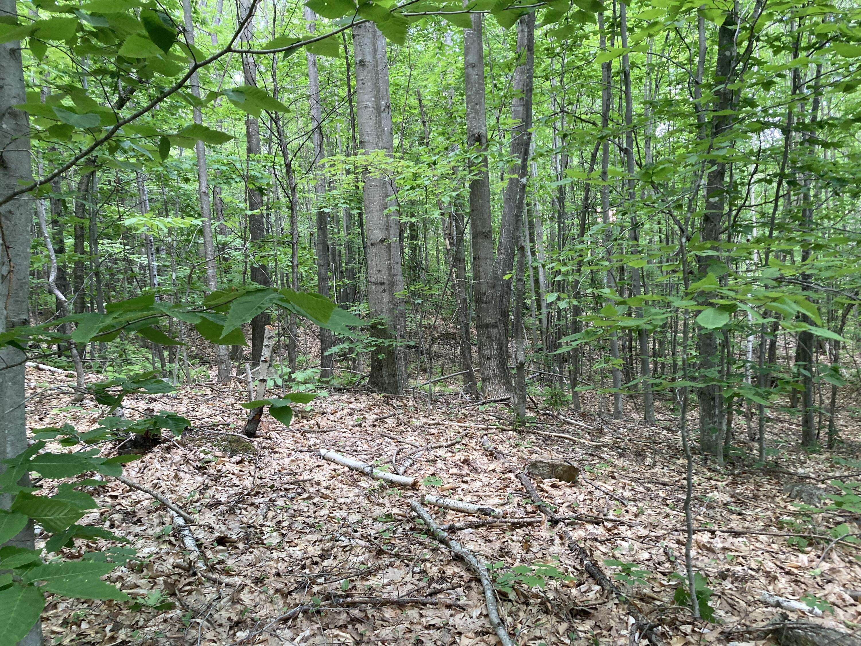 Sumner, ME 04292,M4 L9-7 Rosenberg RD