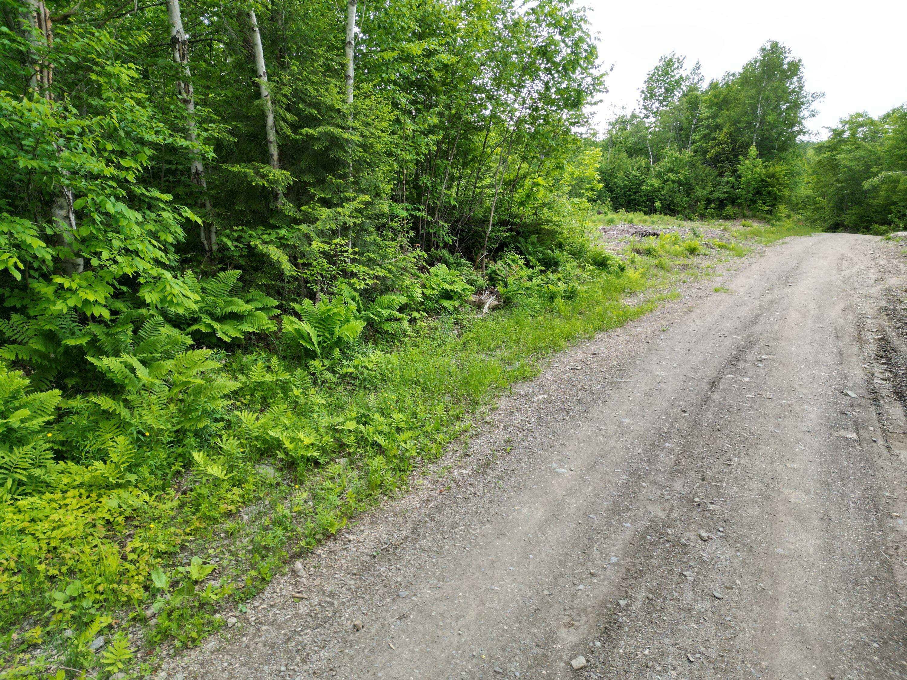 Springfield, ME 04487,Lot 8 Moores RD