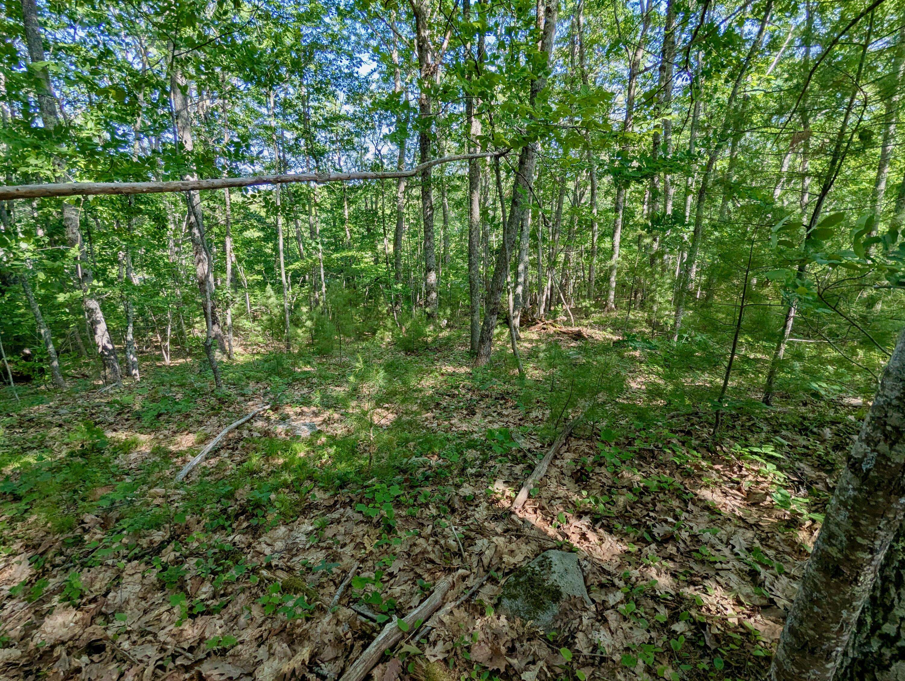 Newcastle, ME 04553,Lot TBD West Hamlet RD