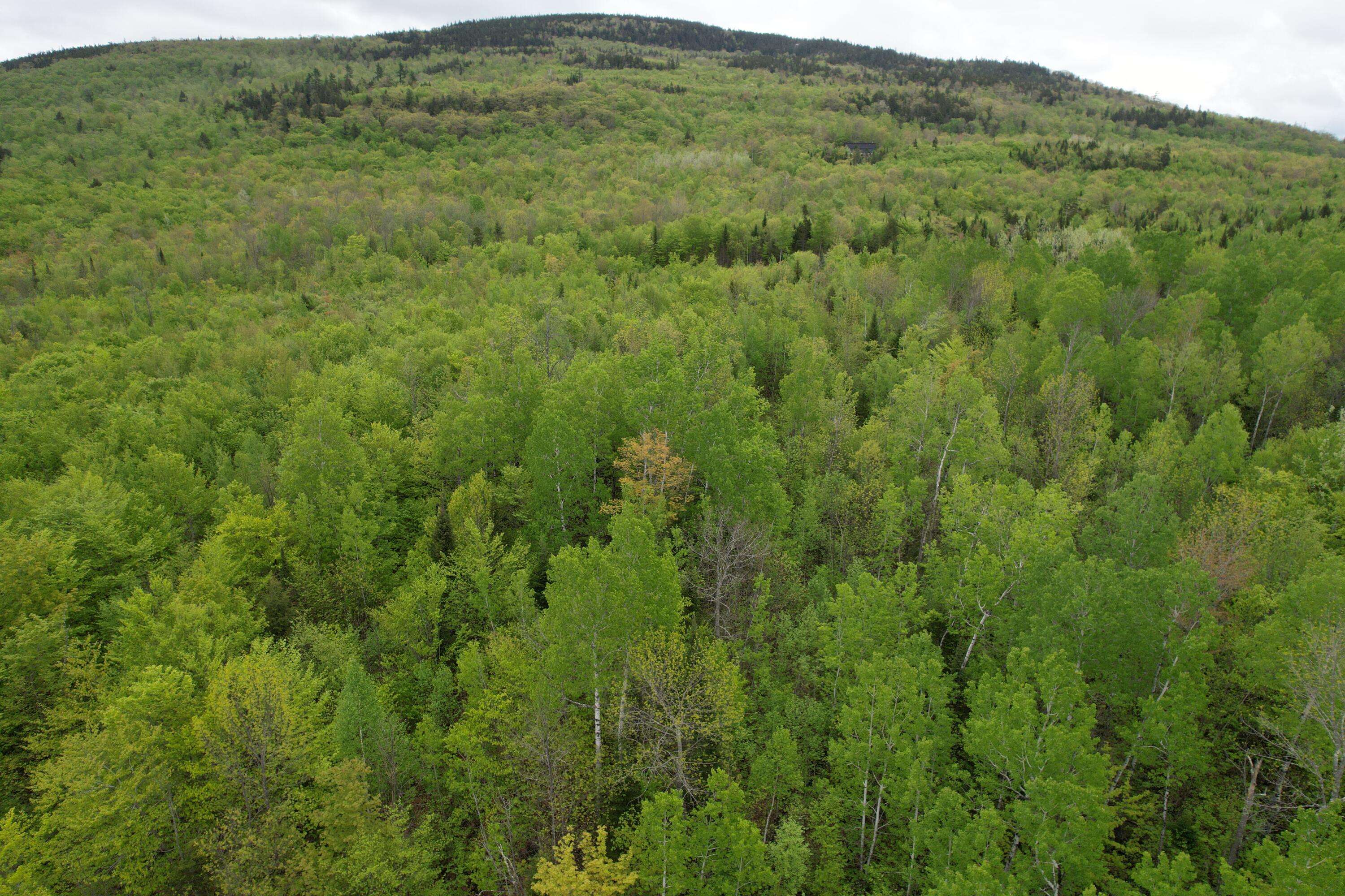 Kingfield, ME 04947,Lot 9 Final DR
