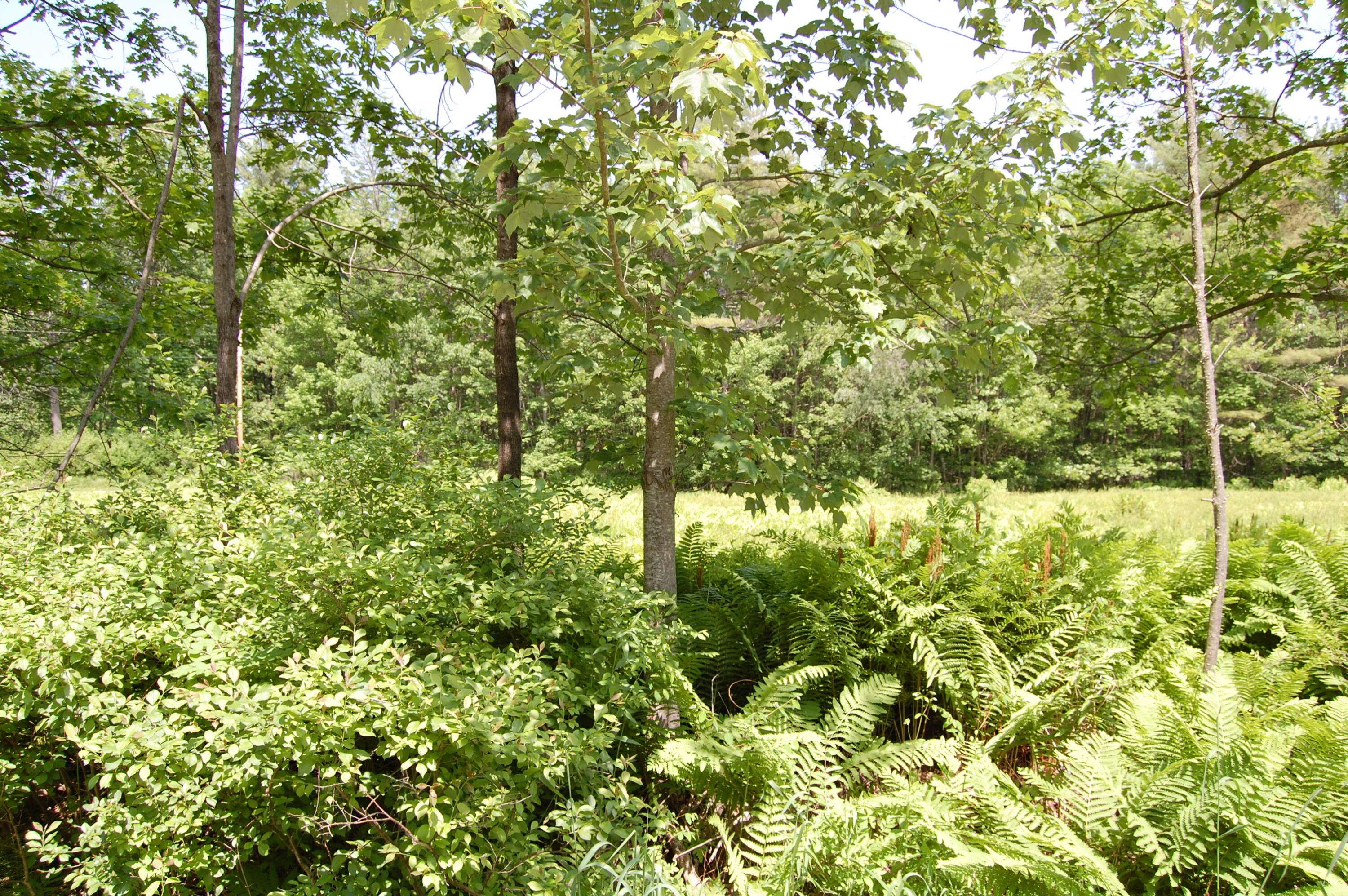 North Yarmouth, ME 04097,0 New Gloucester RD