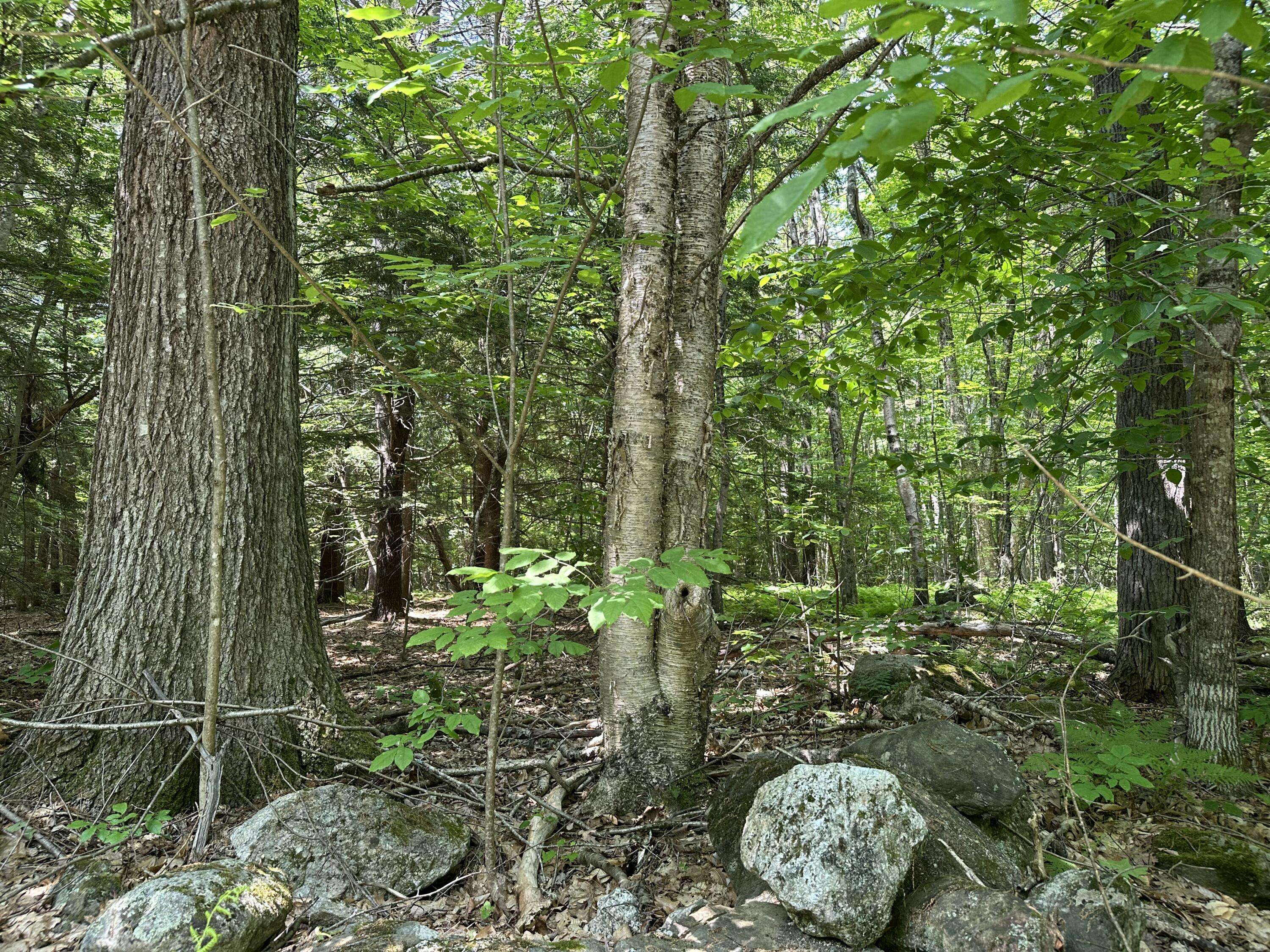 Bowdoinham, ME 04008,TBD Dingley RD