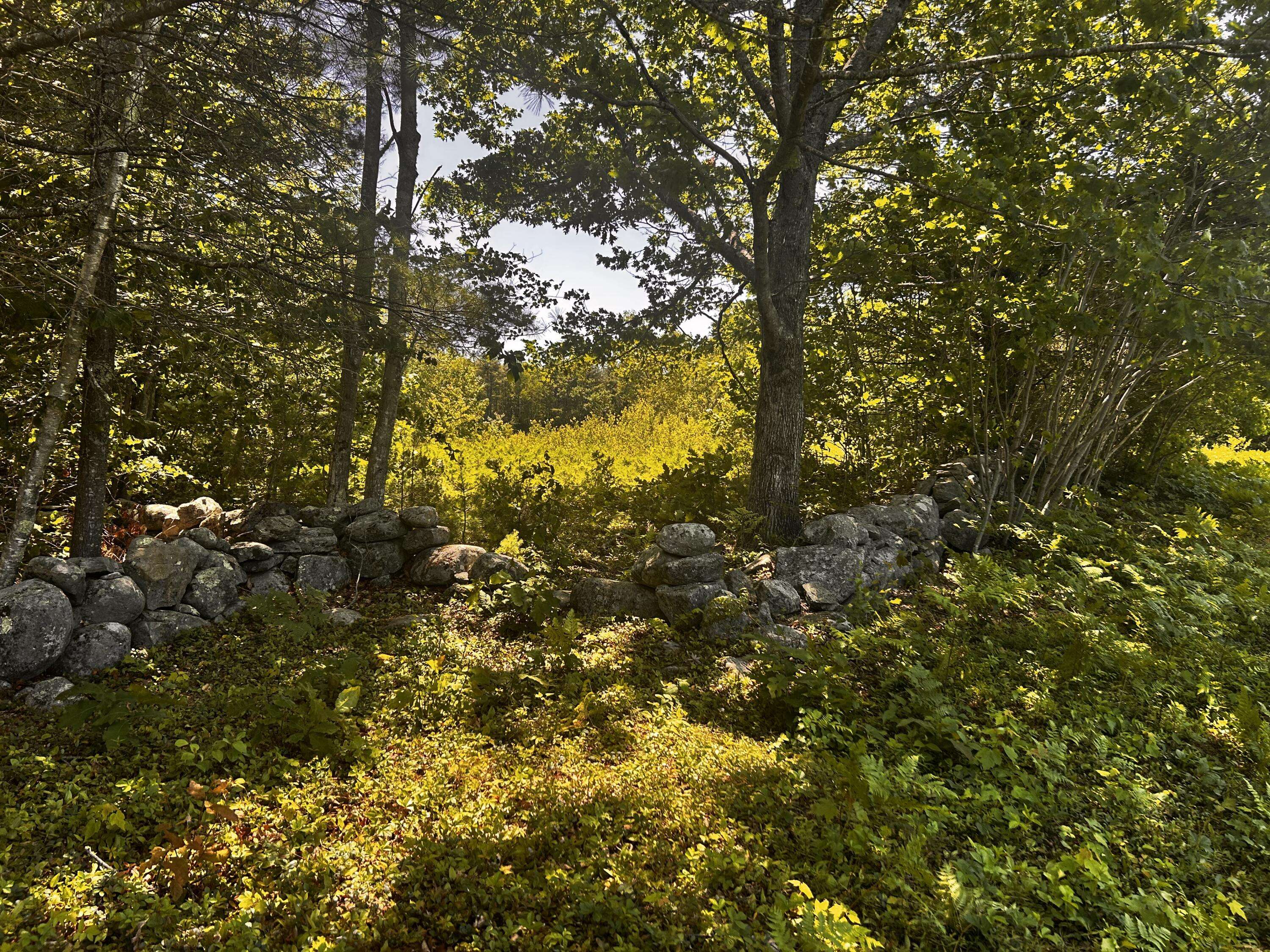 Dresden, ME 04342,M5L41 Barnes RD