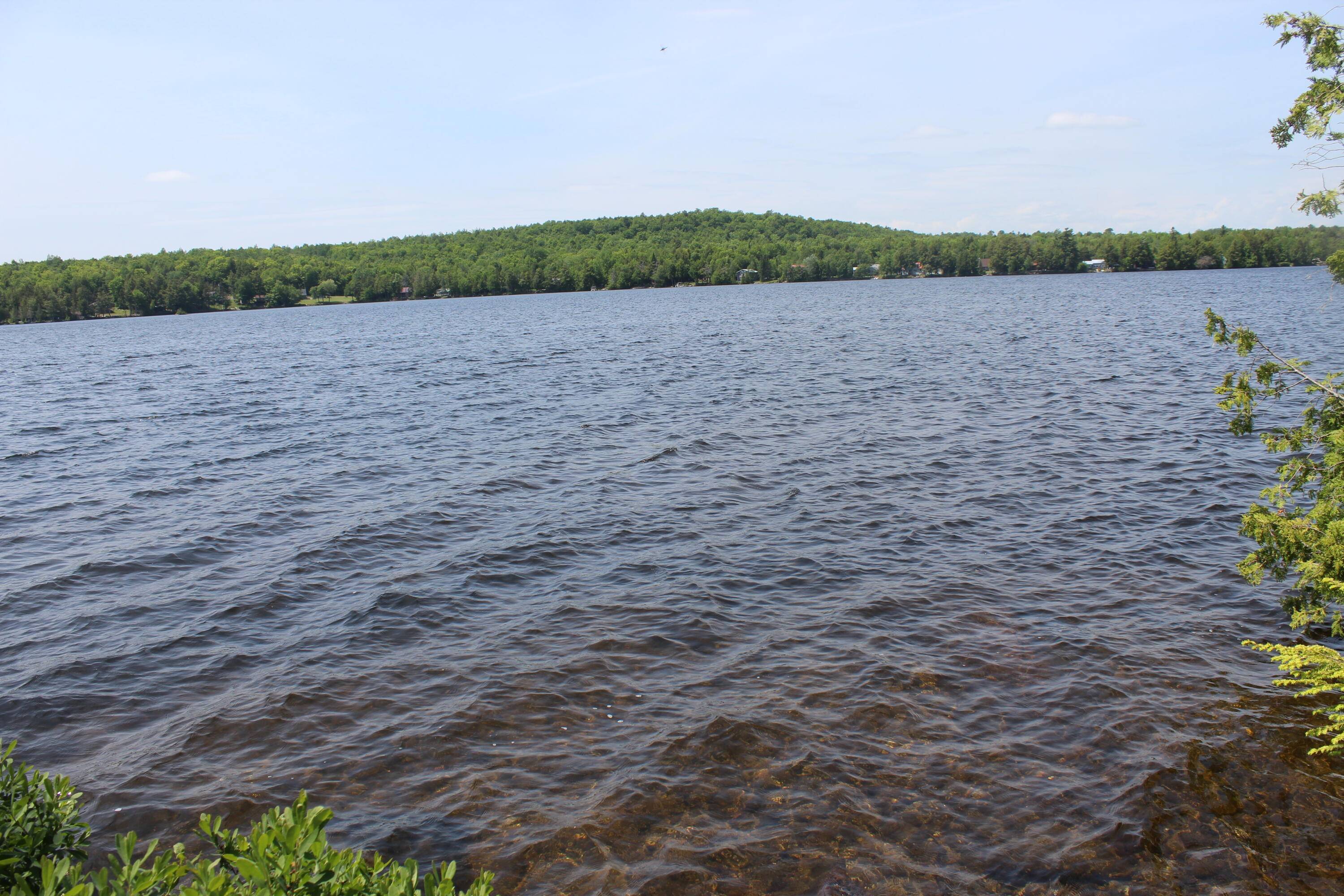 Benedicta Twp, ME 04733,189 East Shore Road
