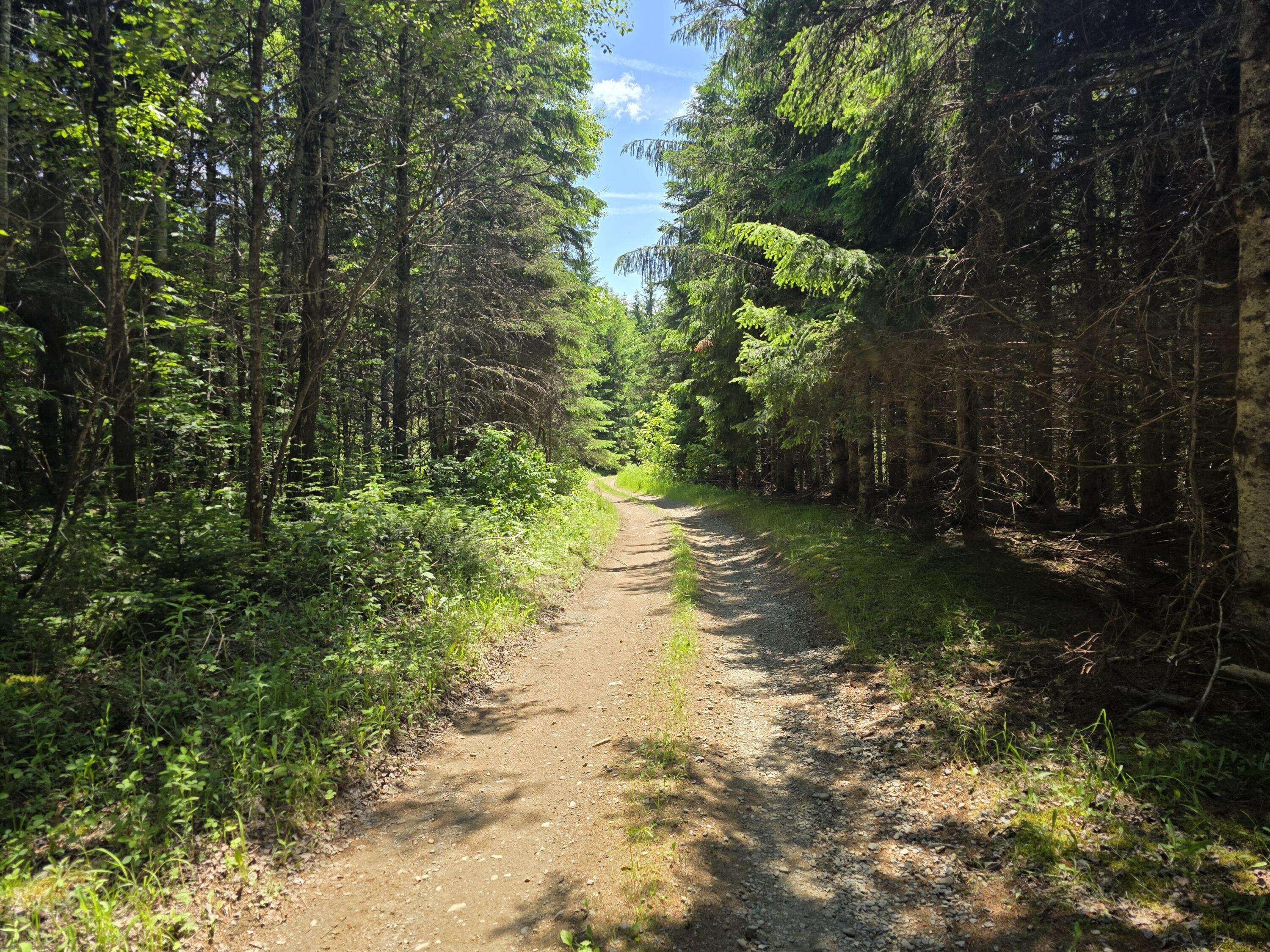Easton, ME 04740,Lots 5B-5C Hersom RD