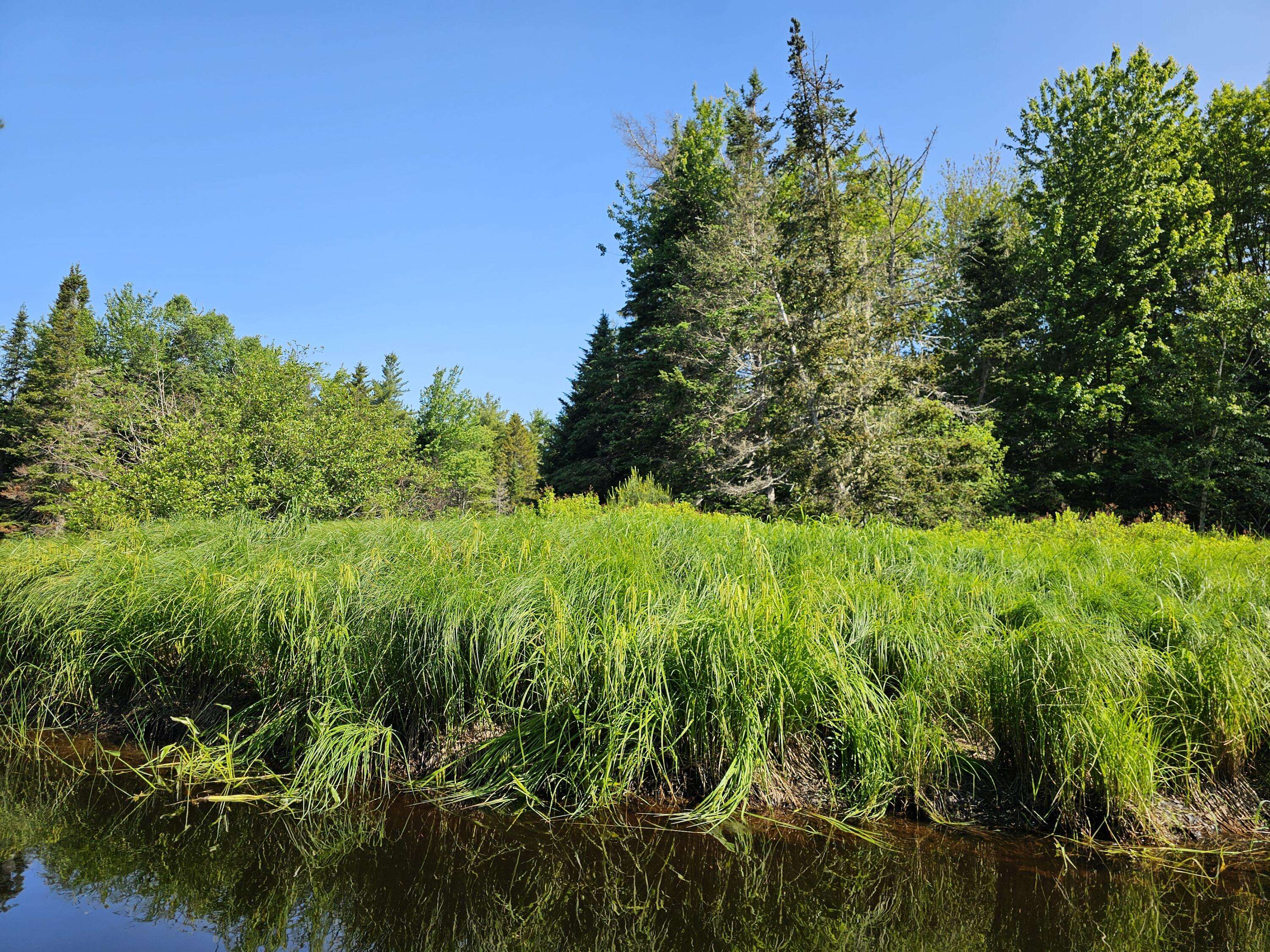 Columbia, ME 04623,Lot 49 Meeting House RD