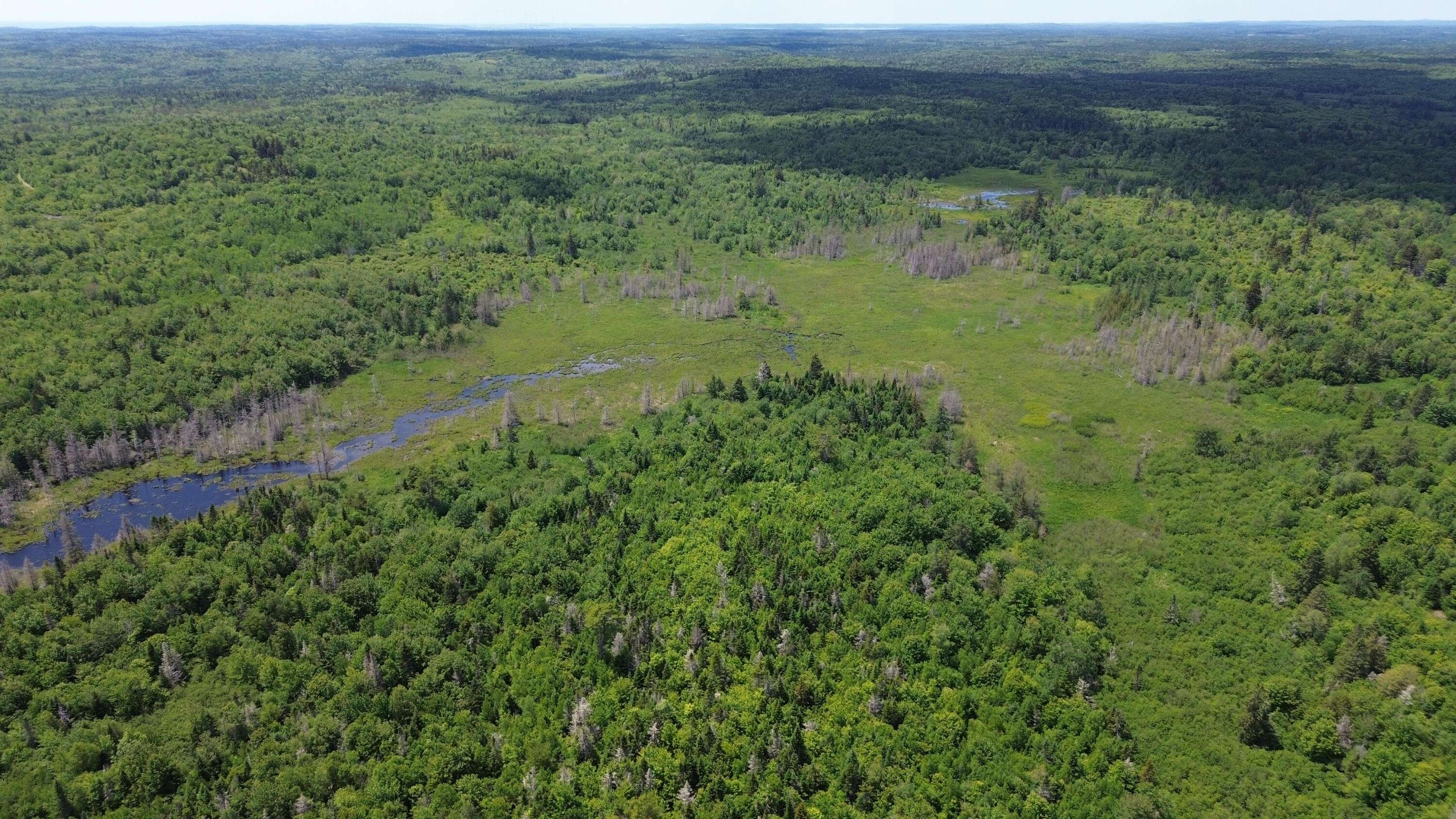 Trescott Twp, ME 04652,Map WA032 Plan 02 - Lot 19
