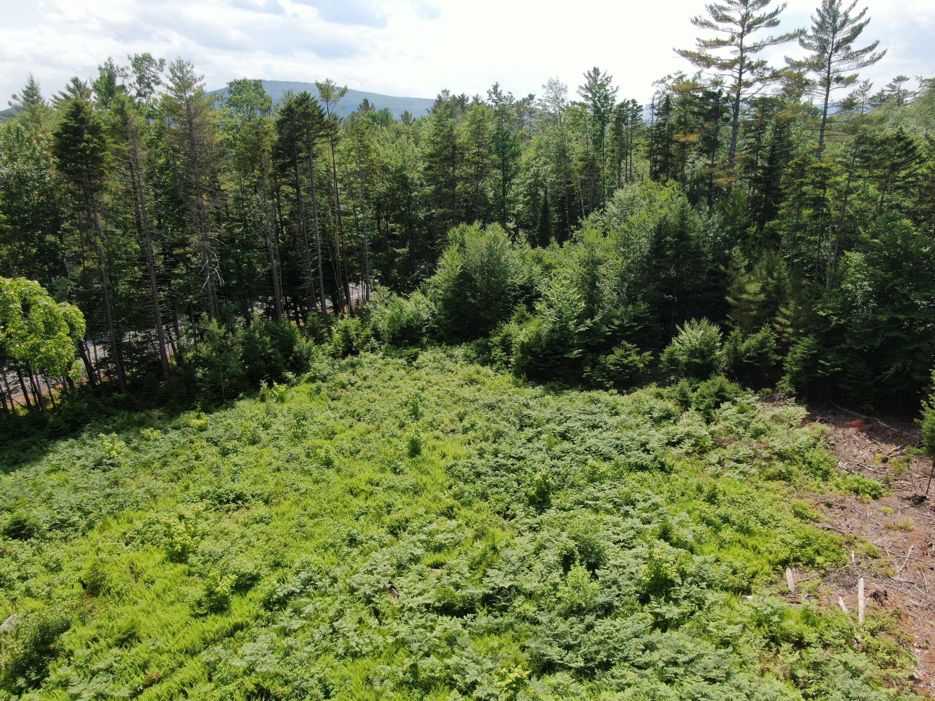 Hanover, ME 04237,42A Stearns Hill LN