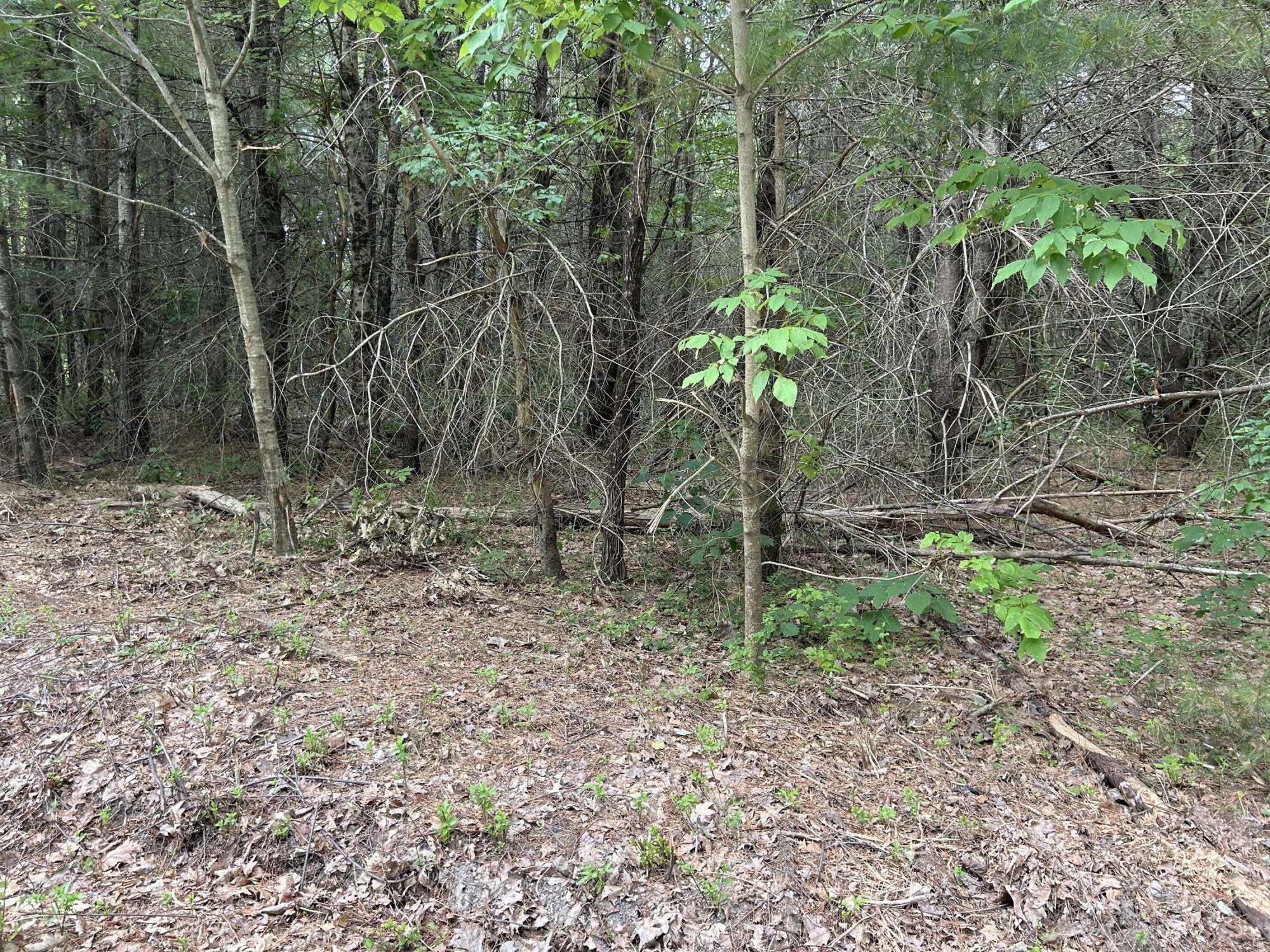 Nobleboro, ME 04555,Lot 5-412 Center ST