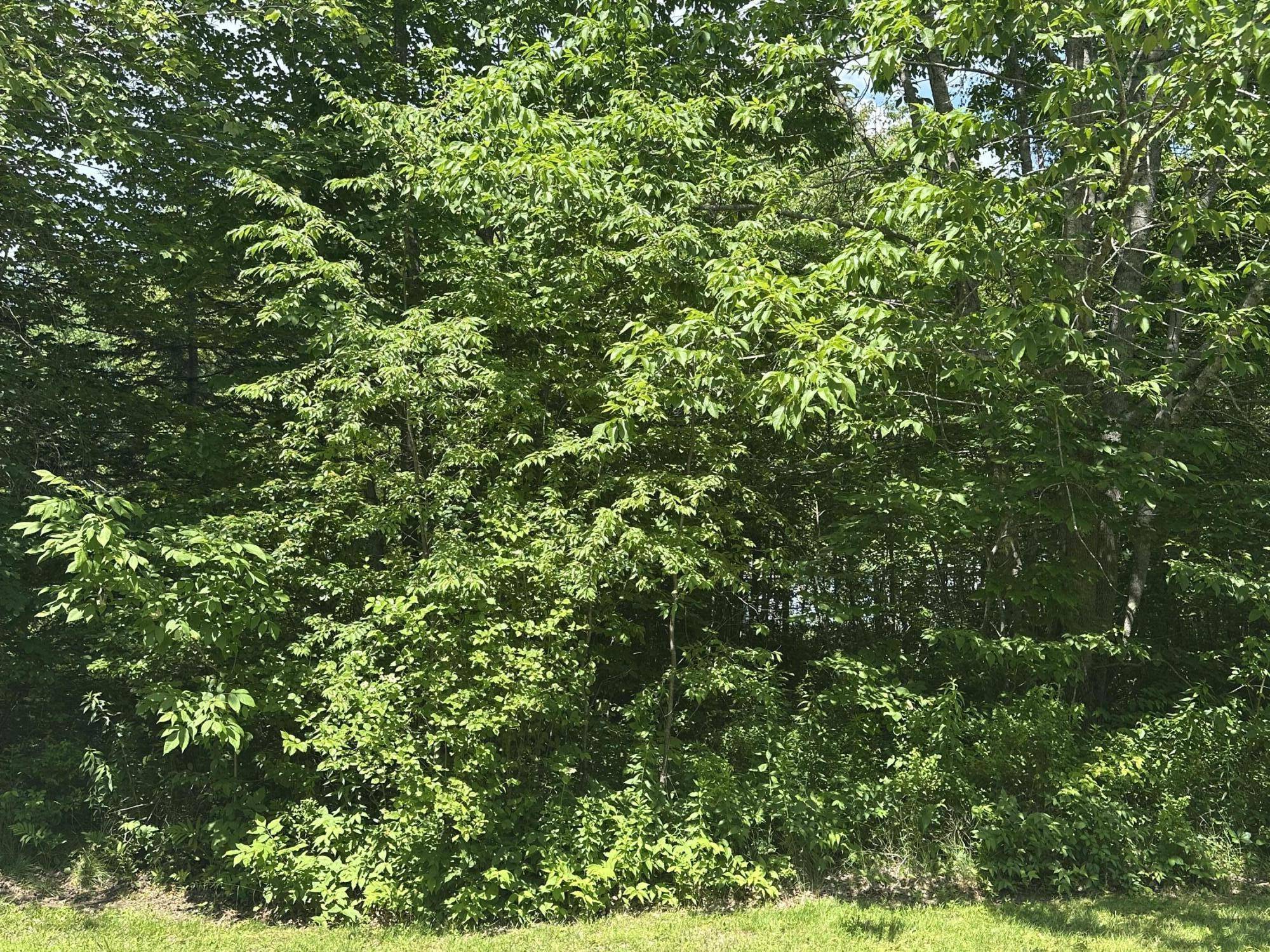 Hancock, ME 04640,Lot #3 Peaslee  Road RD