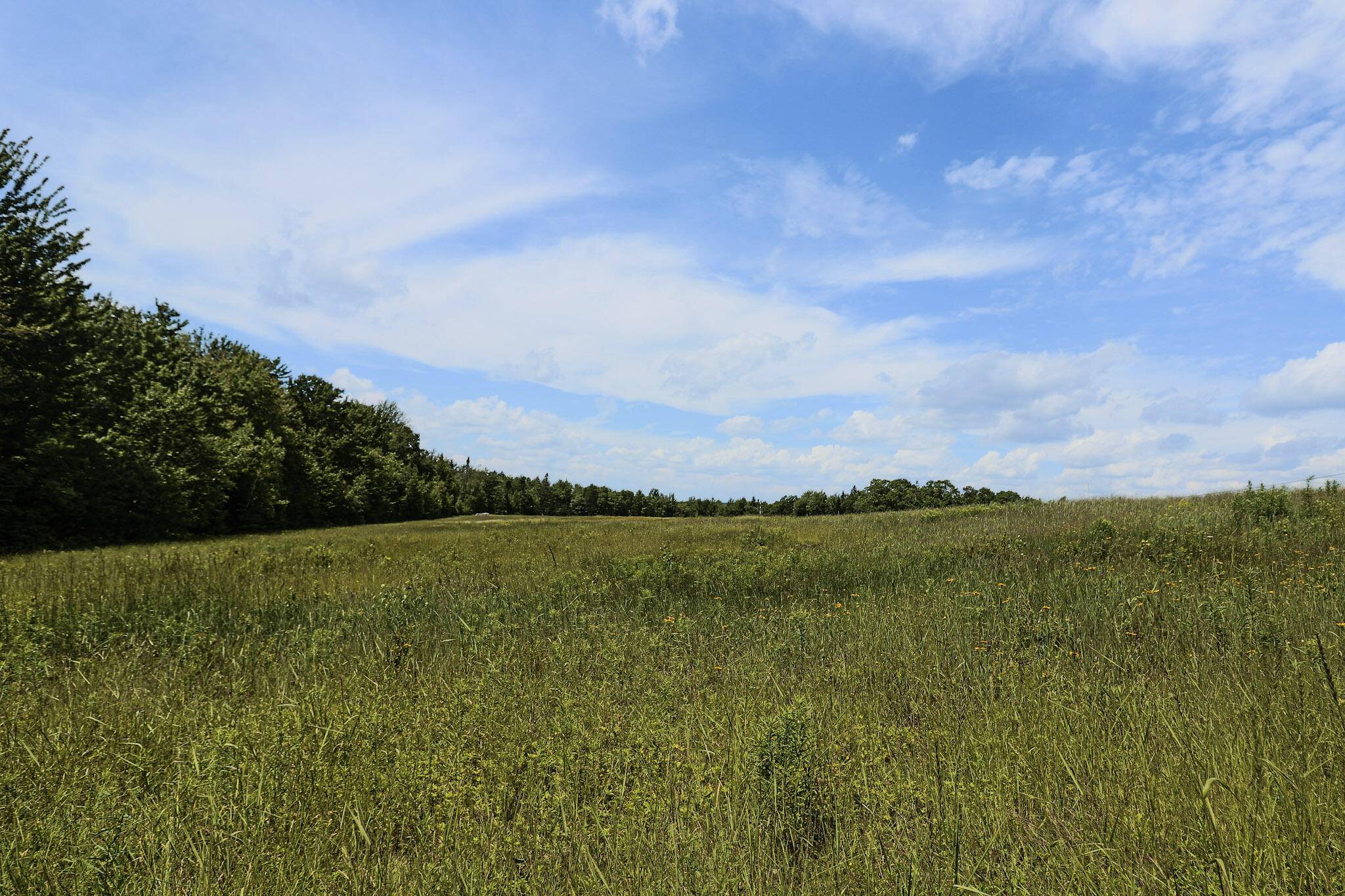 Franklin, ME 04634,MAP13LOT9 Martins Ridge RD