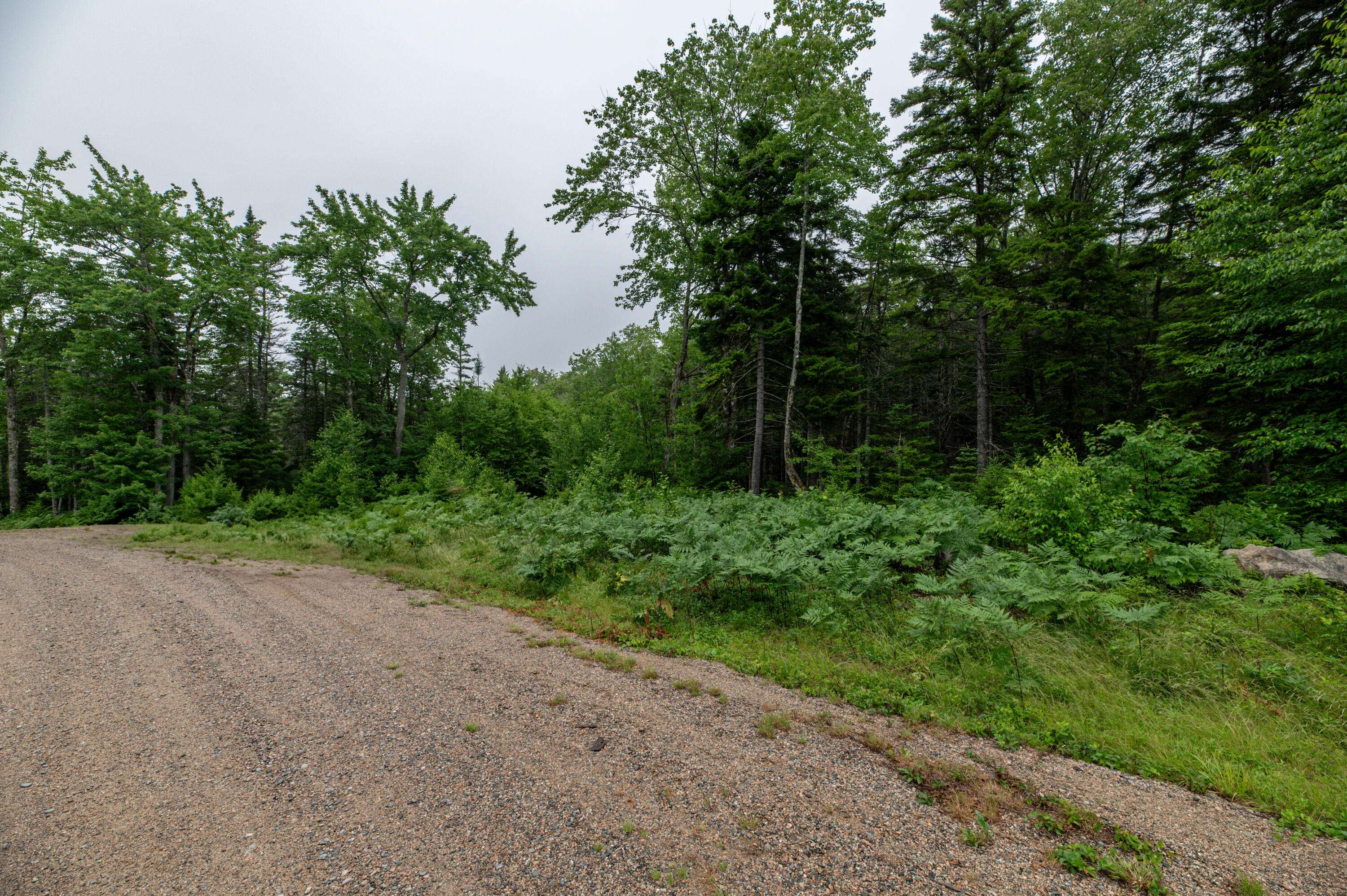 Steuben, ME 04680,Lot 40 Estates RD