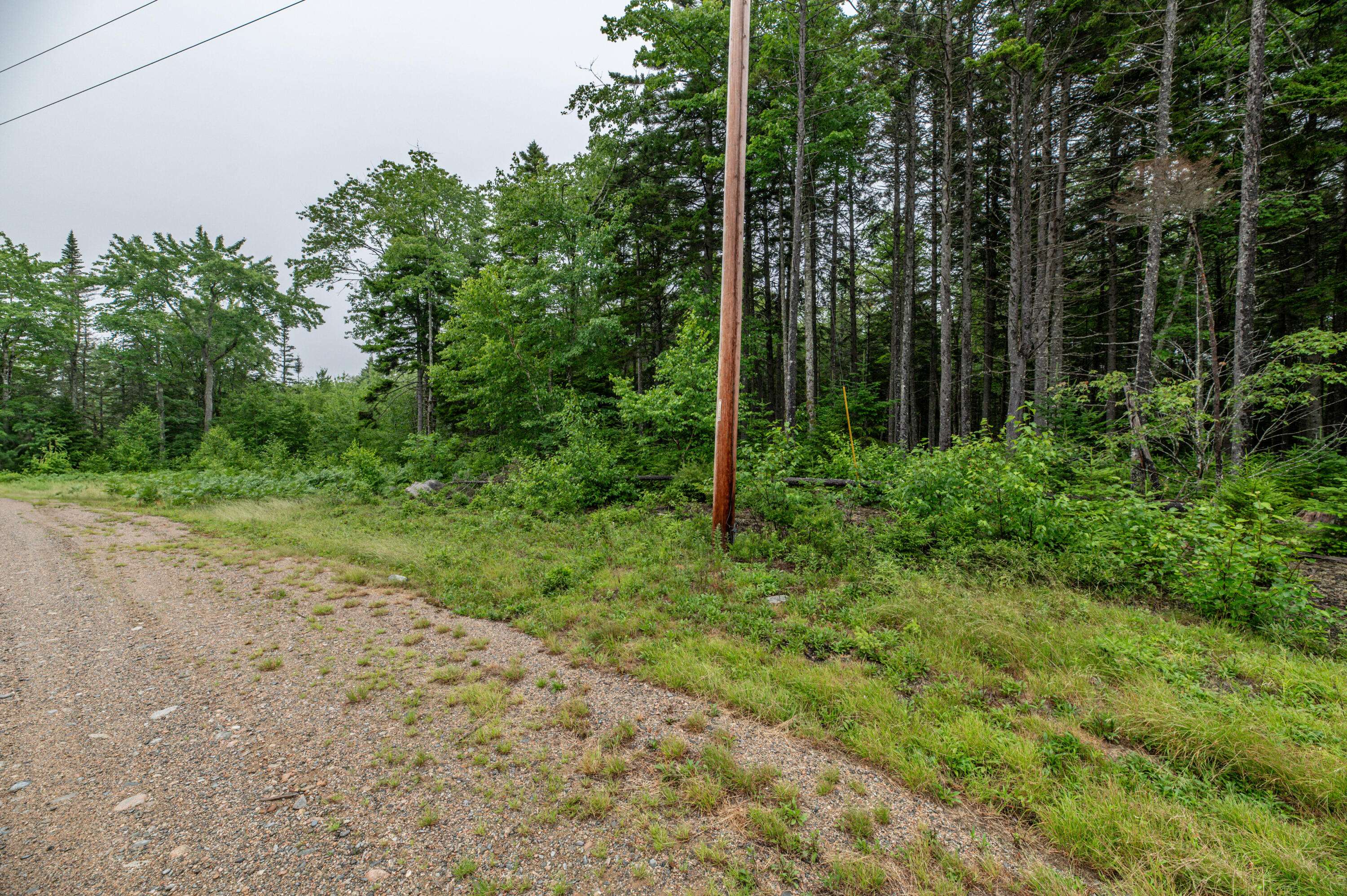 Steuben, ME 04680,Lot 40 Estates RD