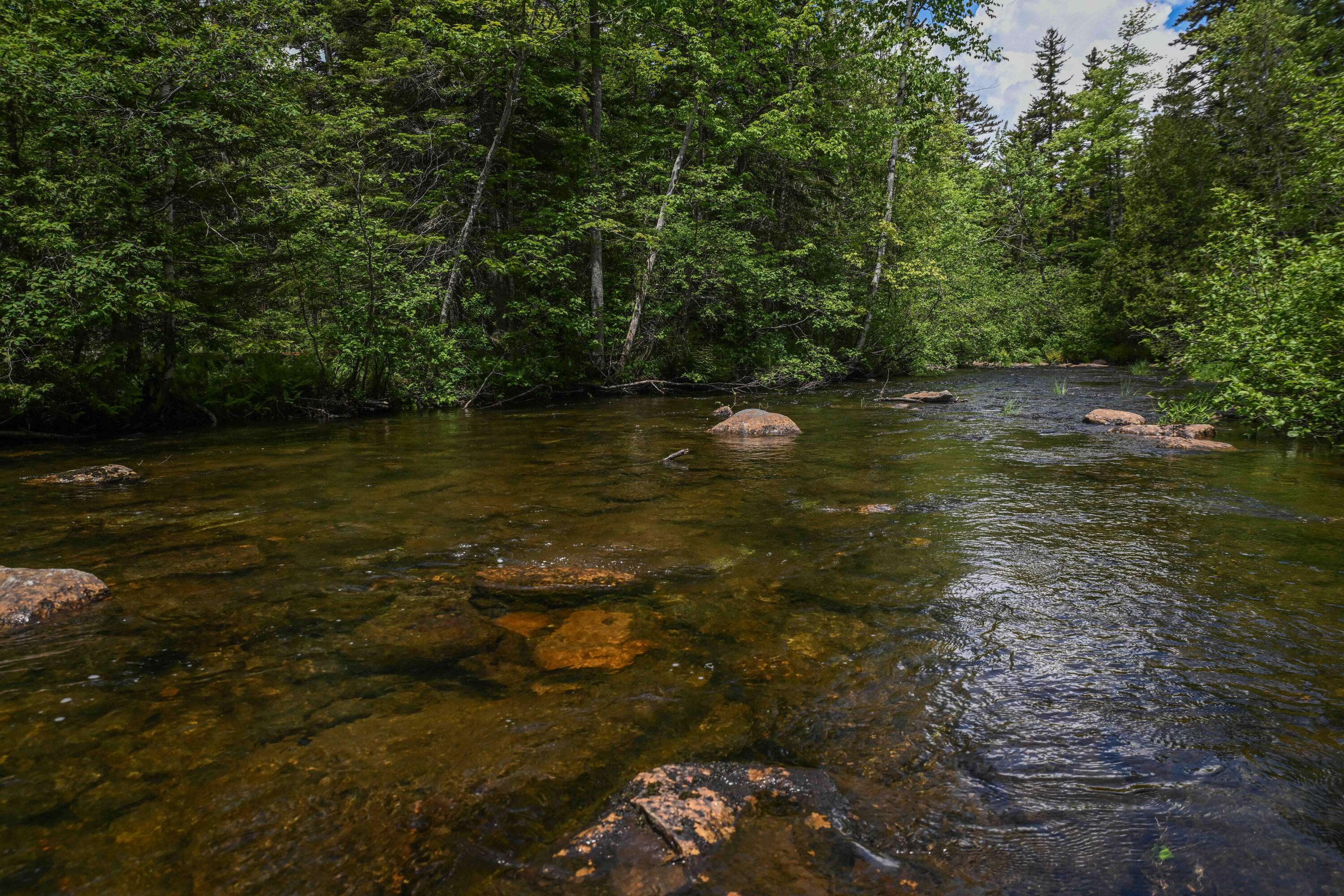 Sandy River Plt, ME 04970,Tax Map 20 Beaver Mountain Road