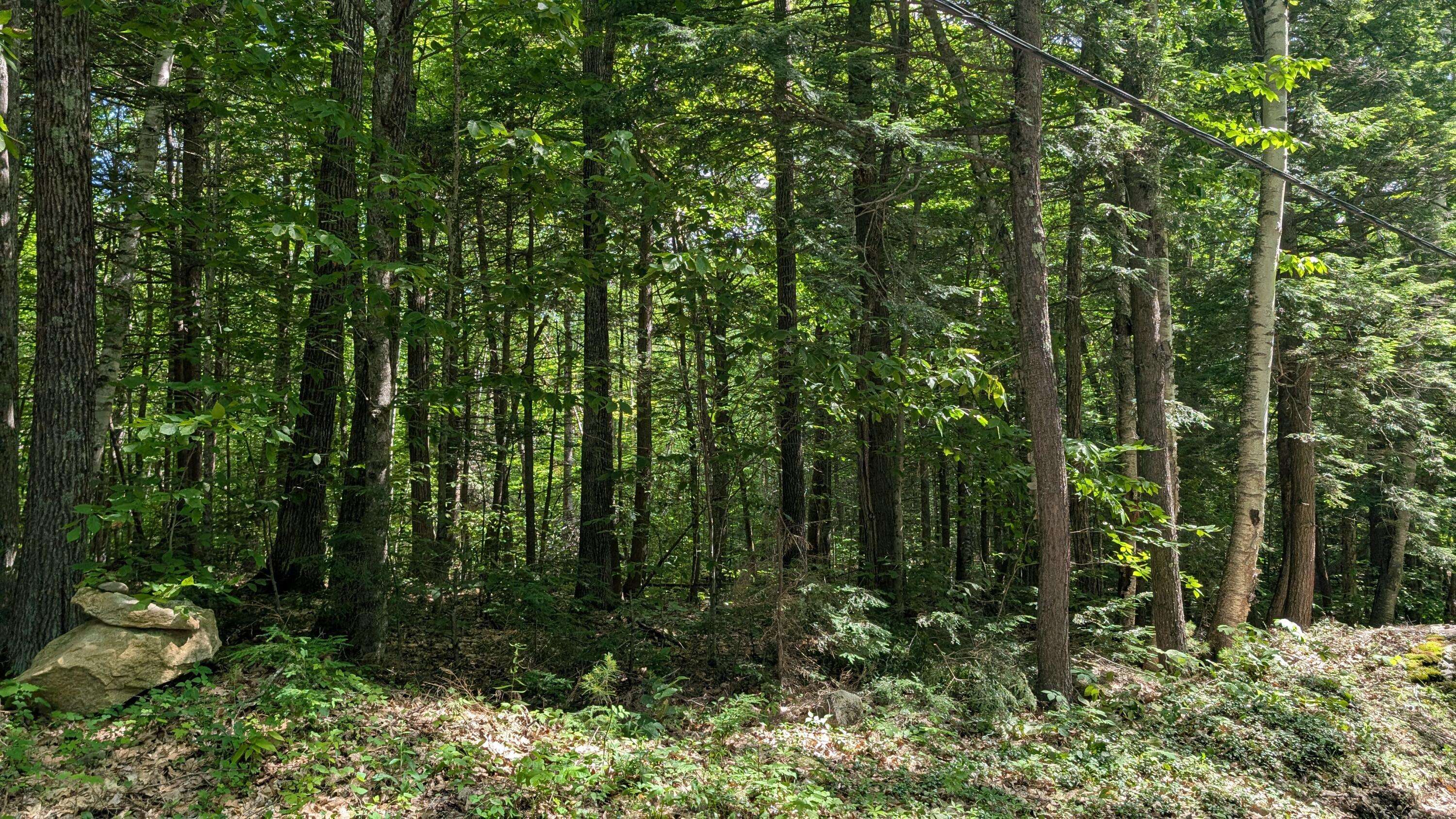 Chesterville, ME 04938,lot 36-C Diller Line