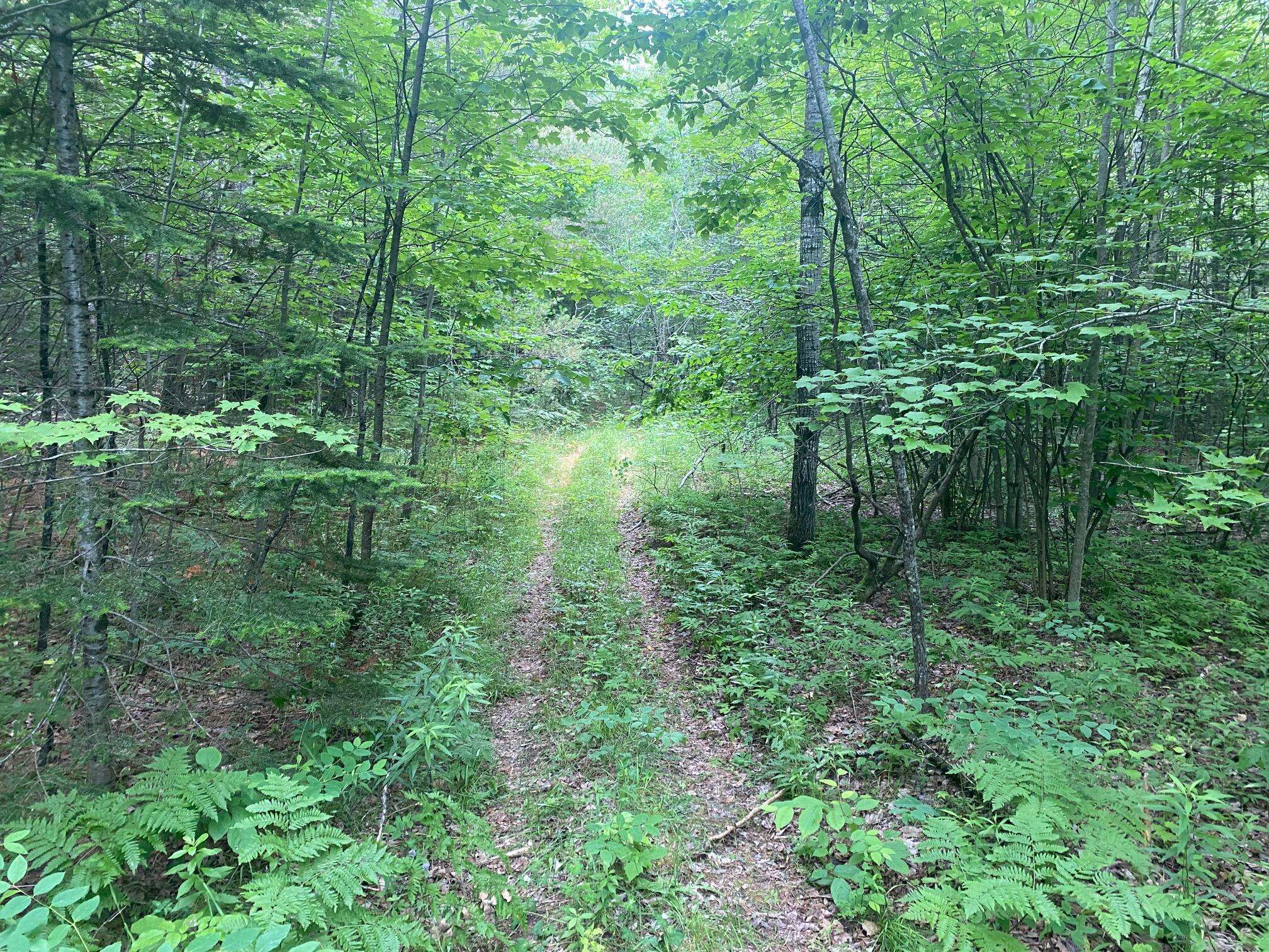 Guilford, ME 04443,Lot# 17 Guilford Center RD