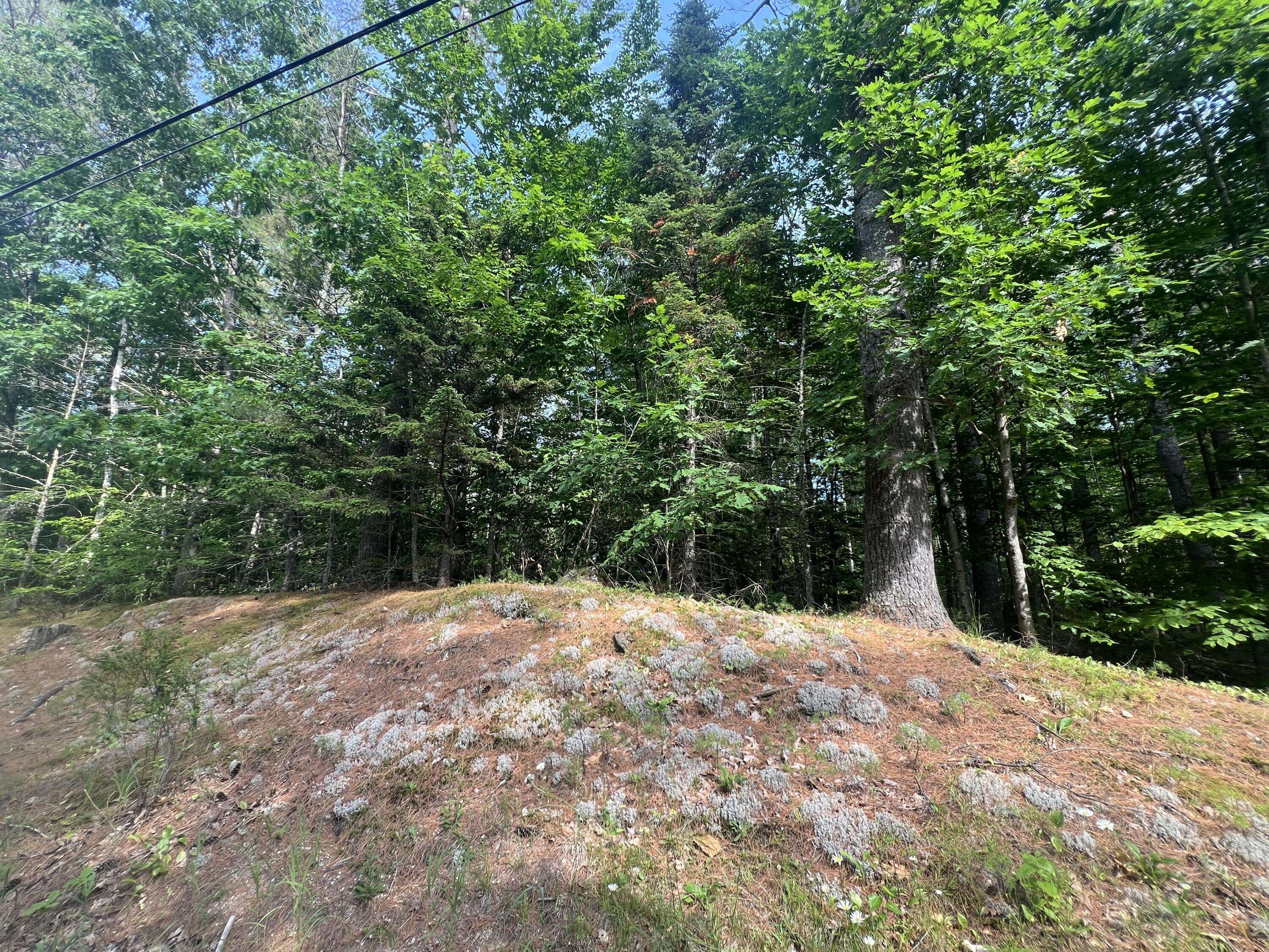 Bethel, ME 04217,Lot #5 Intervale RD