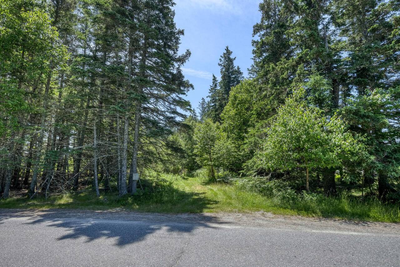 Stonington, ME 04681,6-60B Tea Hill RD