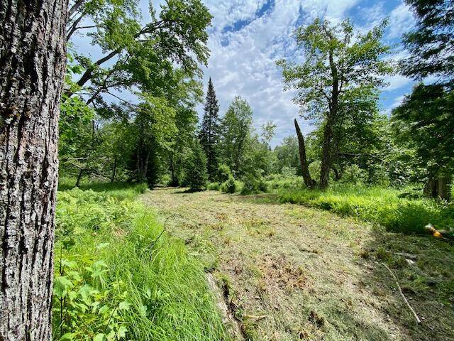 Parsonsfield, ME 04047,00 Pratt Road