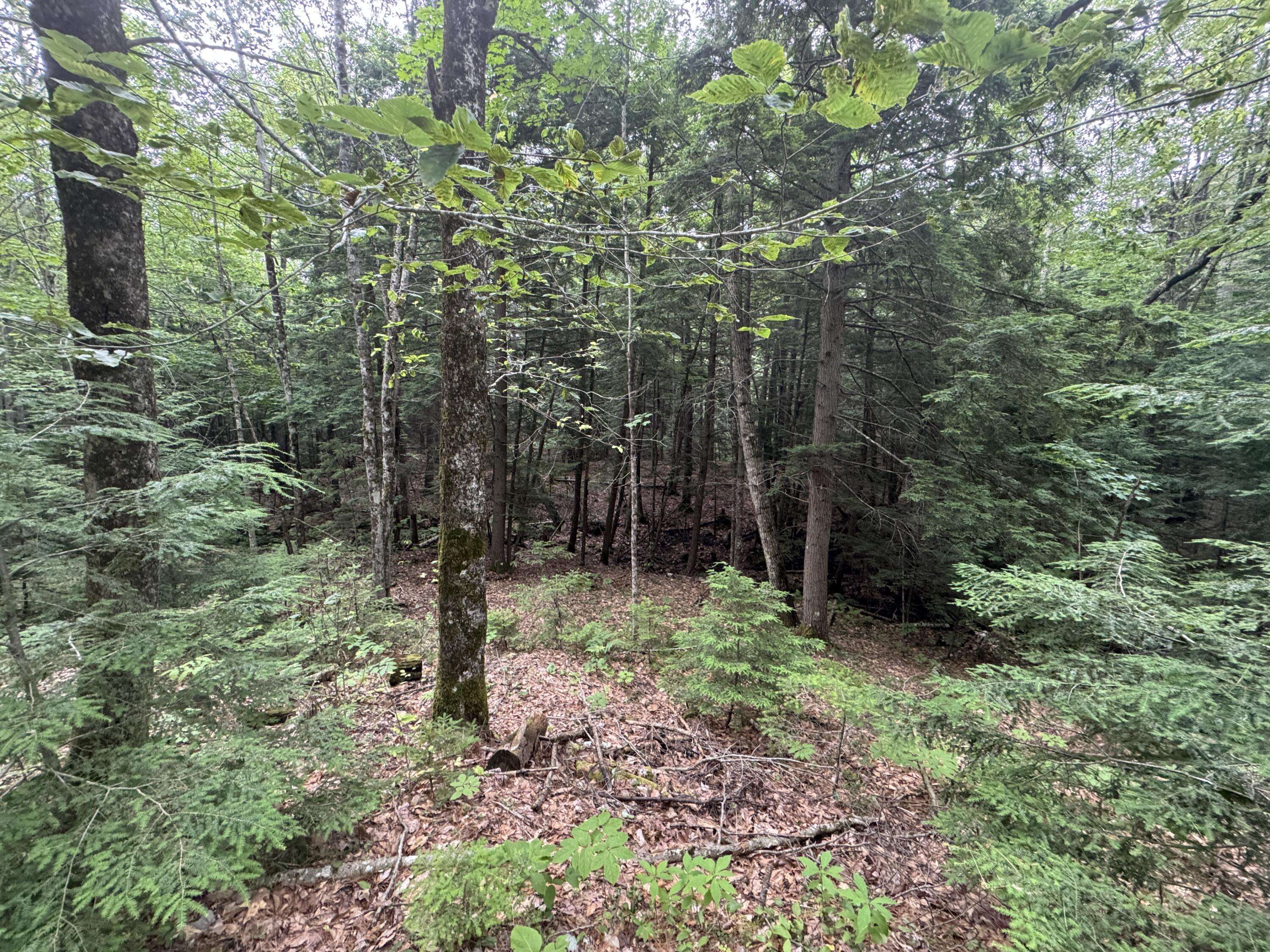 Whitefield, ME 04353,Lot 28 Clark LN