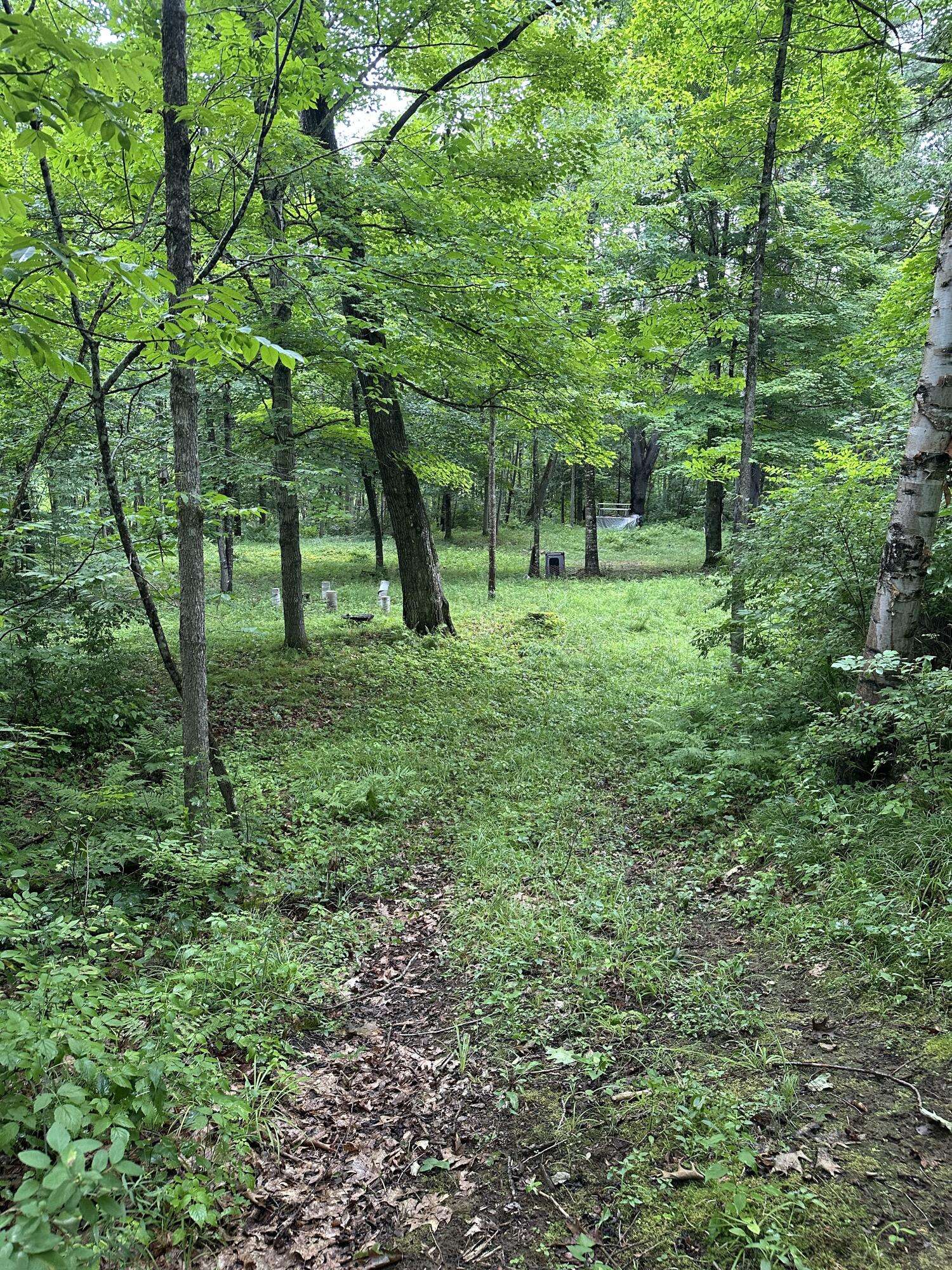 Anson, ME 04911,Lot 1 River Bend DR
