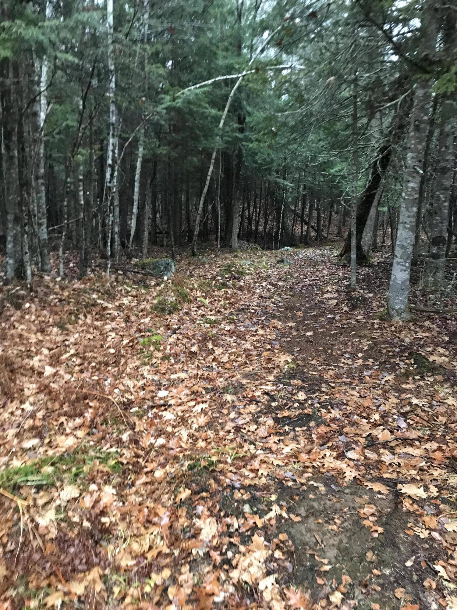 Norway, ME 04268,49-51 Pleasant ST
