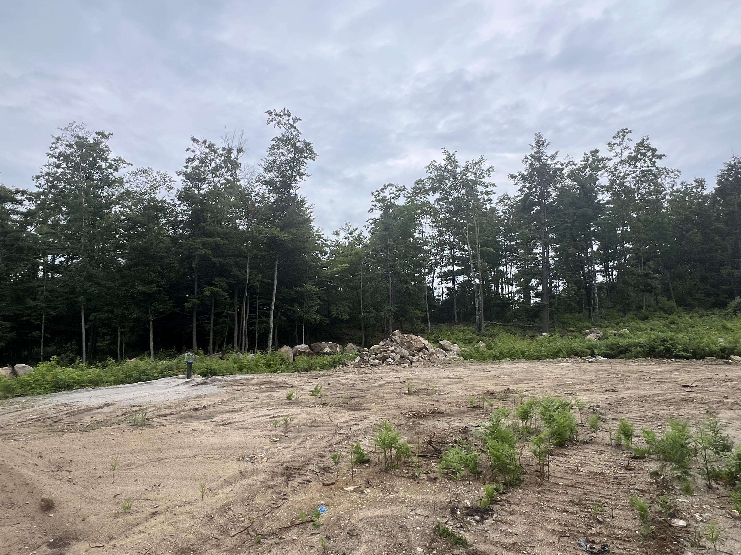 Hollis, ME 04042,Lot #5 Pelletier DR