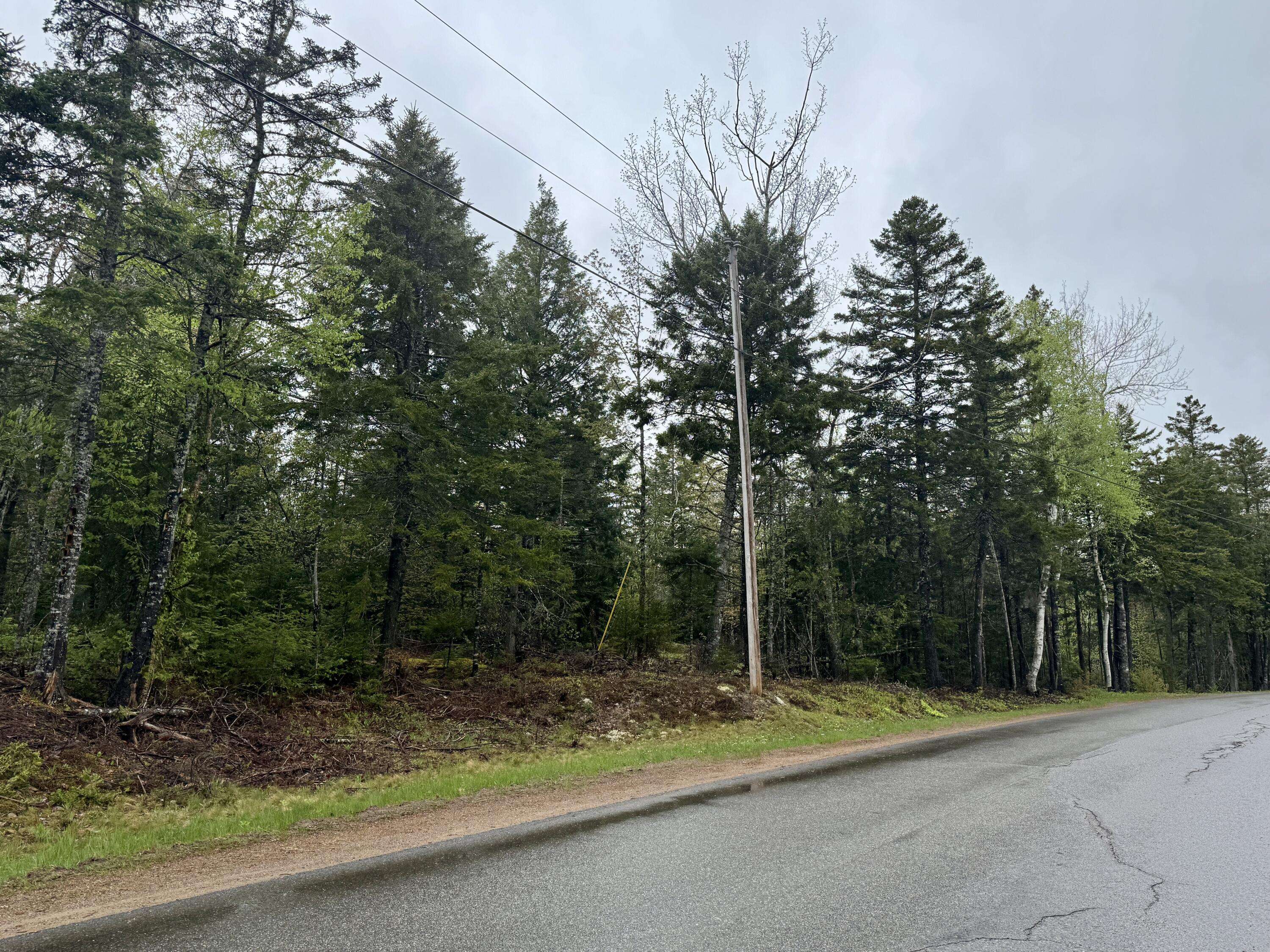Perry, ME 04667,M15 L12 Golding RD