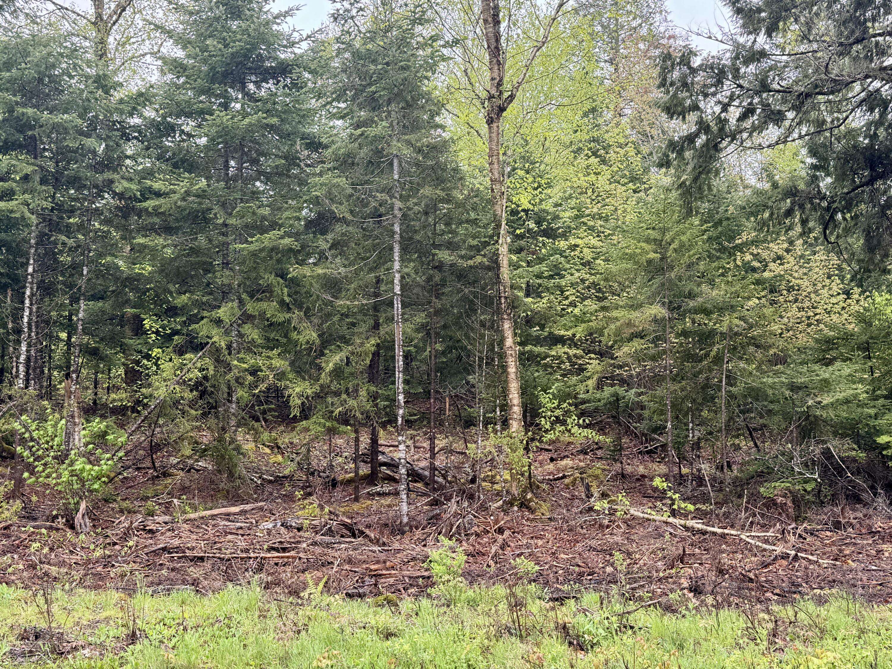 Perry, ME 04667,M15 L12 Golding RD