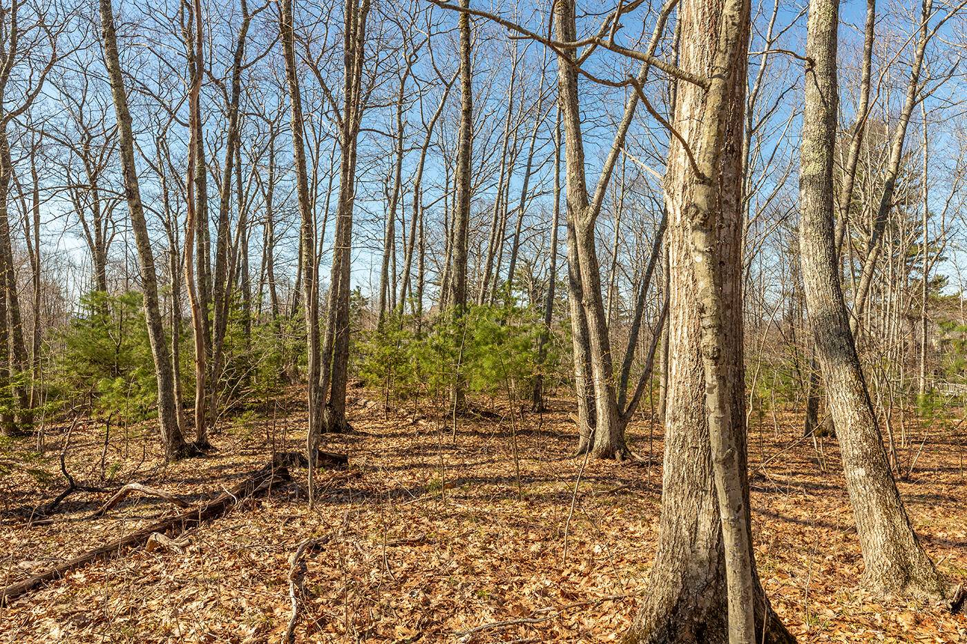 Rockport, ME 04856,Lot 1 Bristol DR