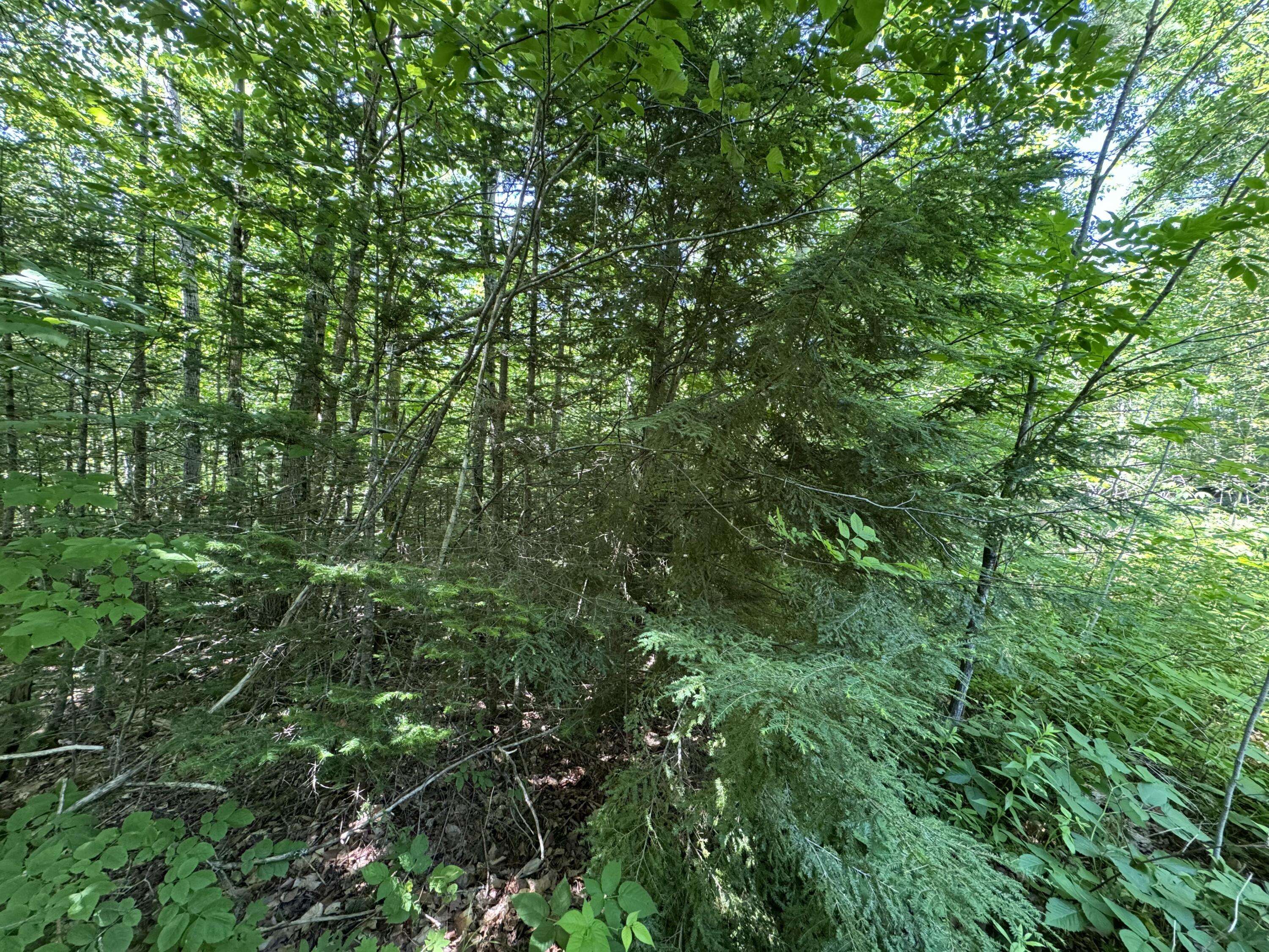 Princeton, ME 04668,#002-006 Hilltop LN