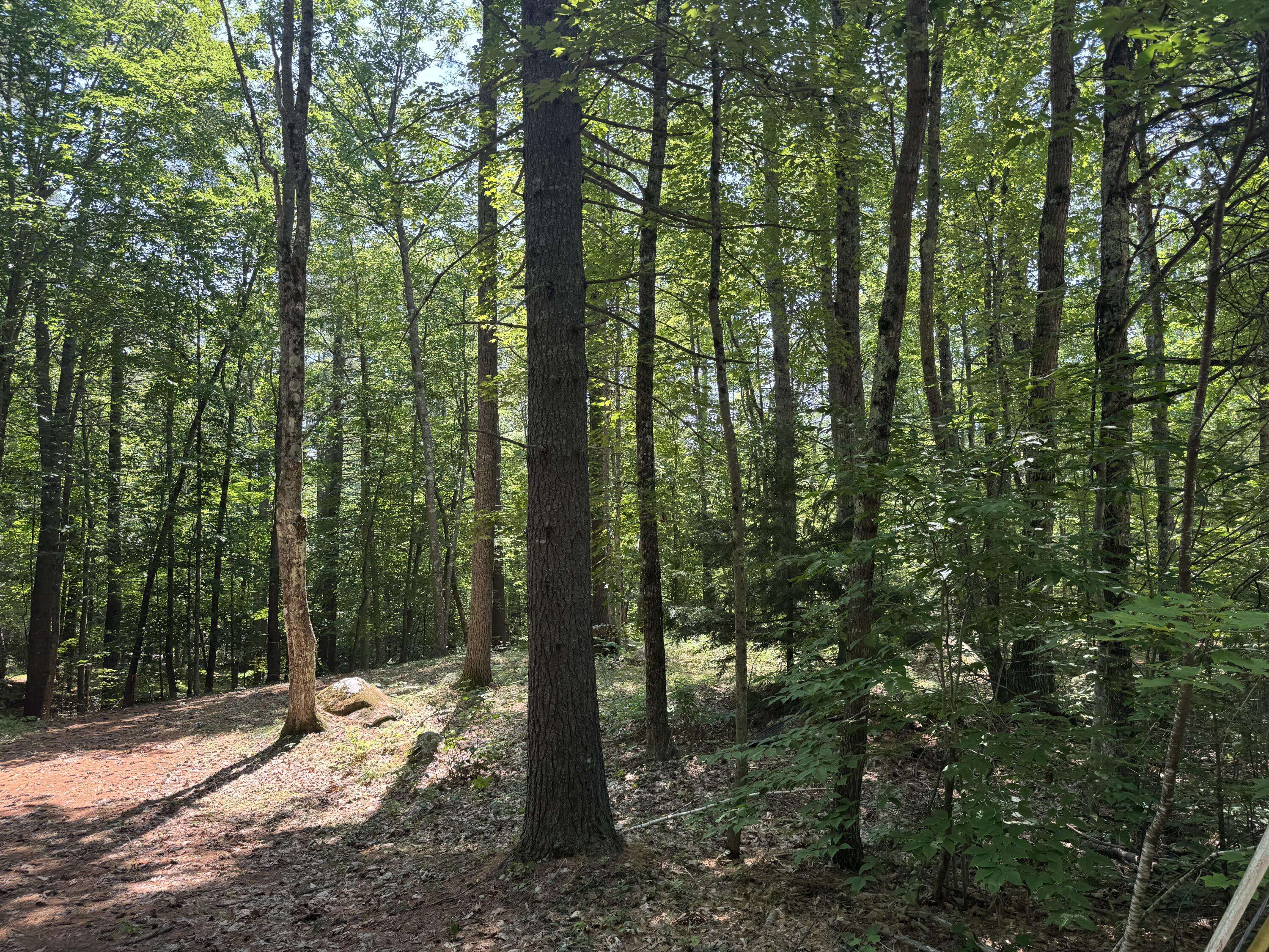 Limerick, ME 04048,Lot #204 Leisure LN