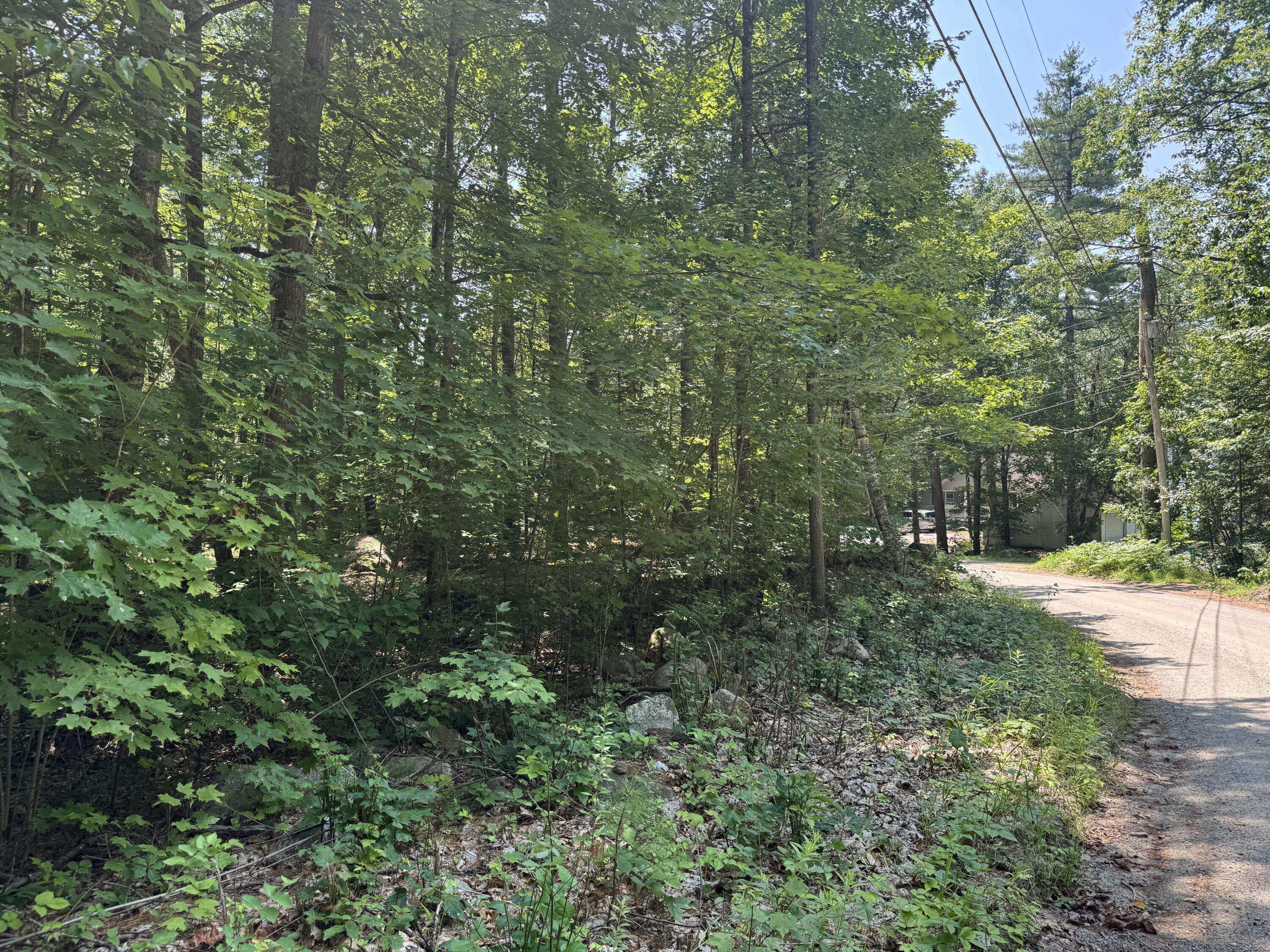 Limerick, ME 04048,Lot #204 Leisure LN
