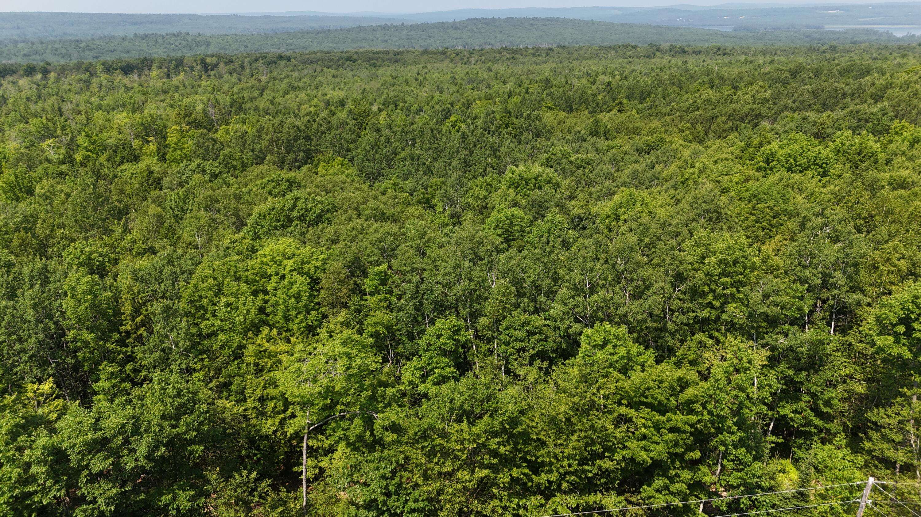 Hartland, ME 04943,Lot 22-03 Vigue Road