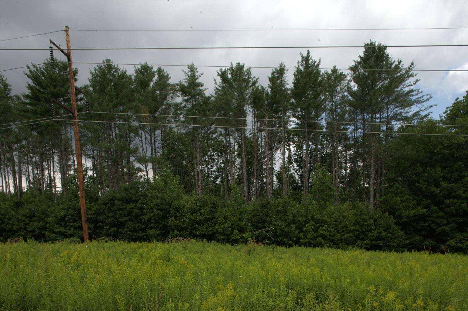 Jay, ME 04239,020 Canton Mountain RD