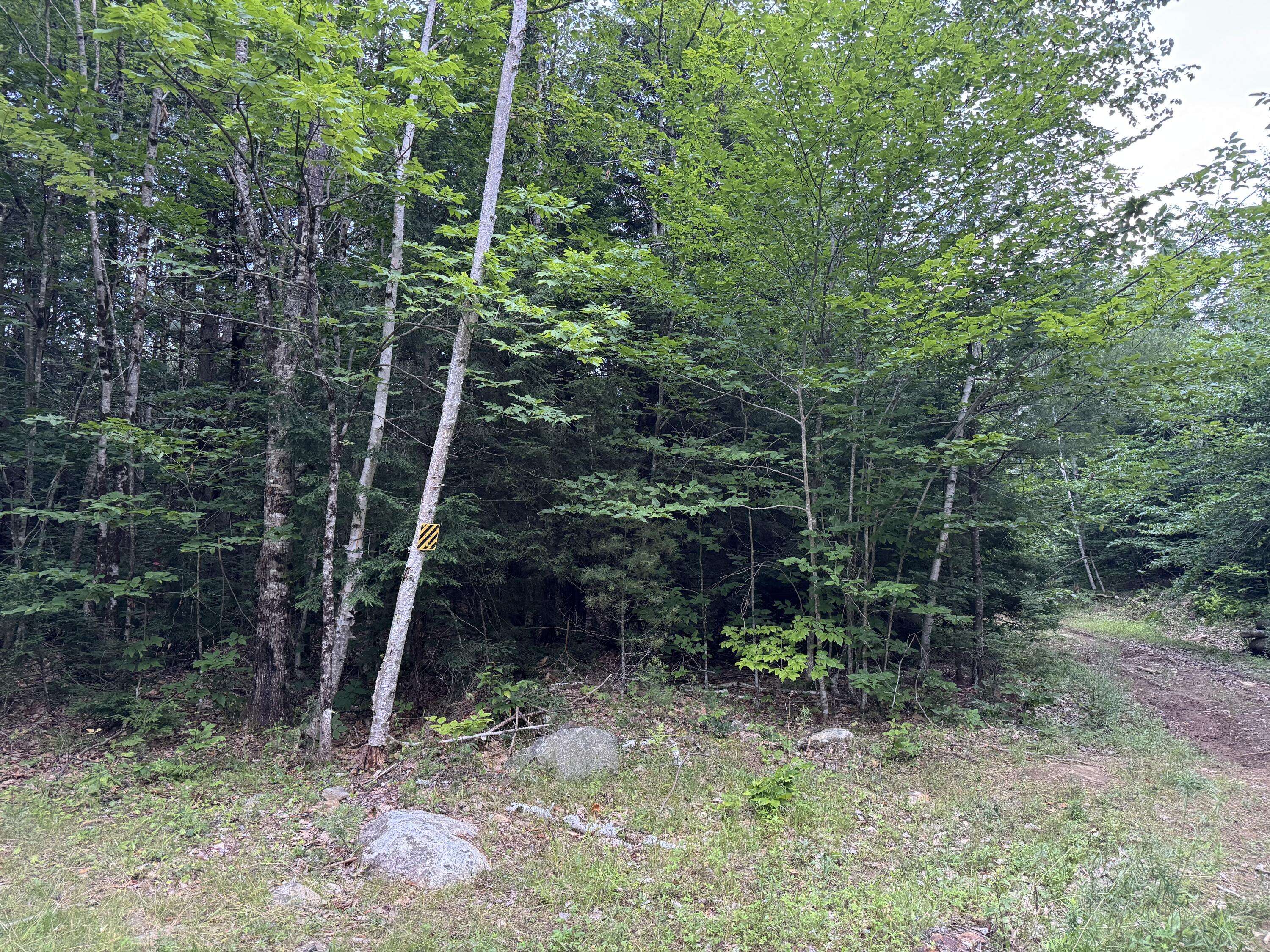 Litchfield, ME 04350,1-70 Route 197