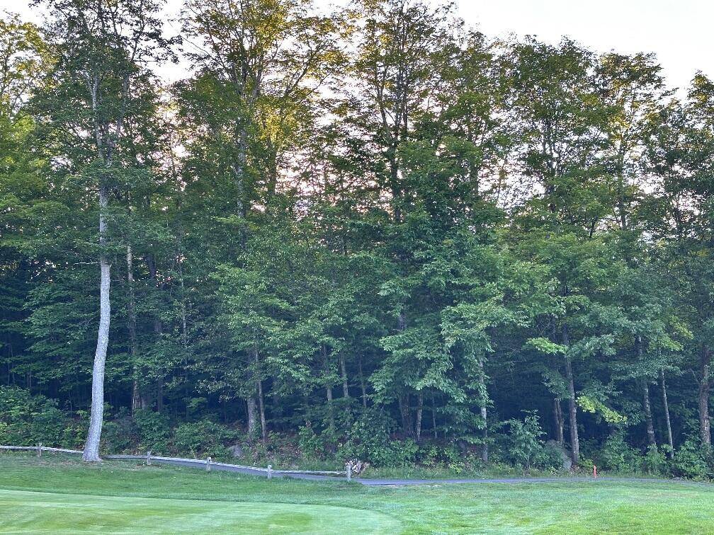 Carrabassett Valley, ME 04947,6097 Village On The Green RD