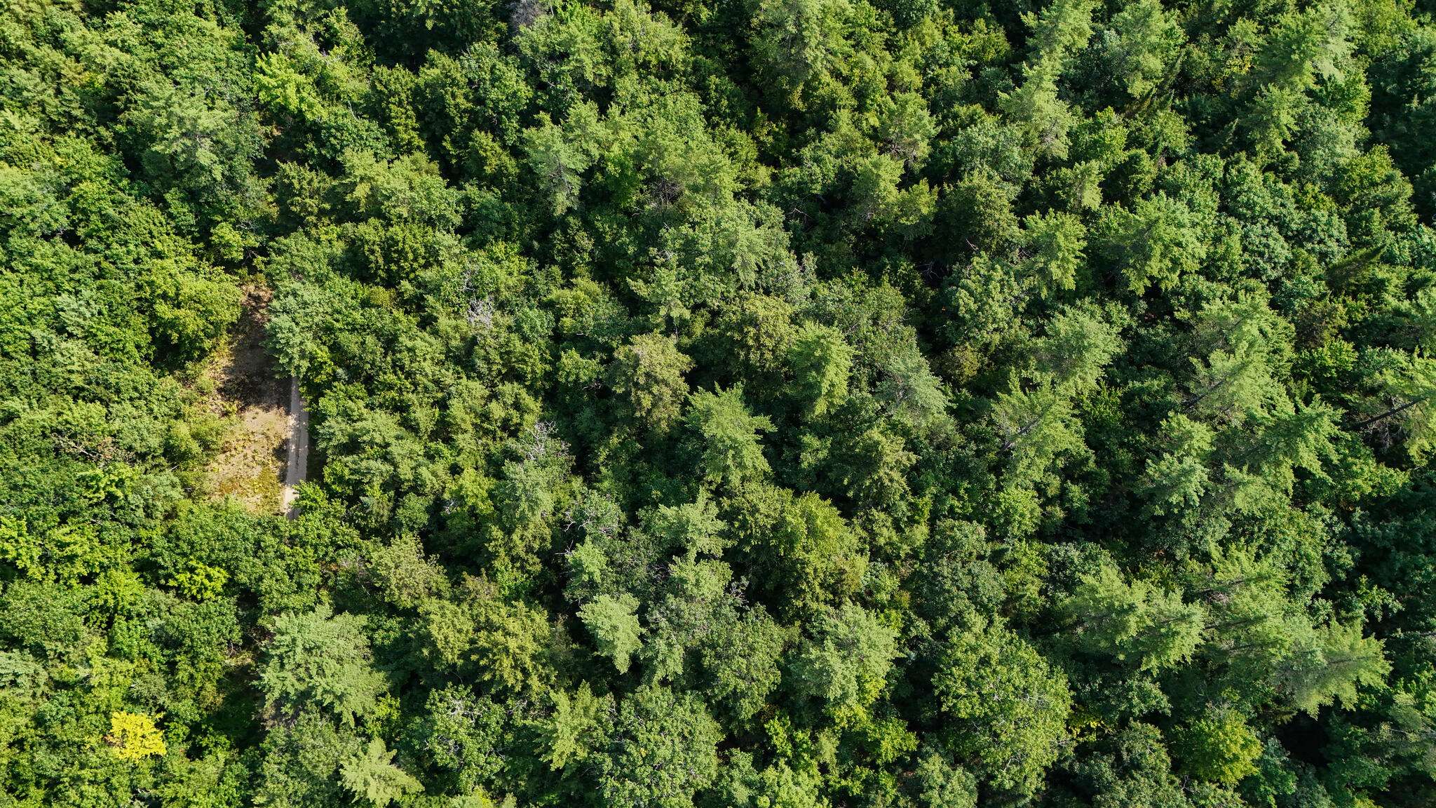 Sweden, ME 04051,Lot #18 Ellis RD