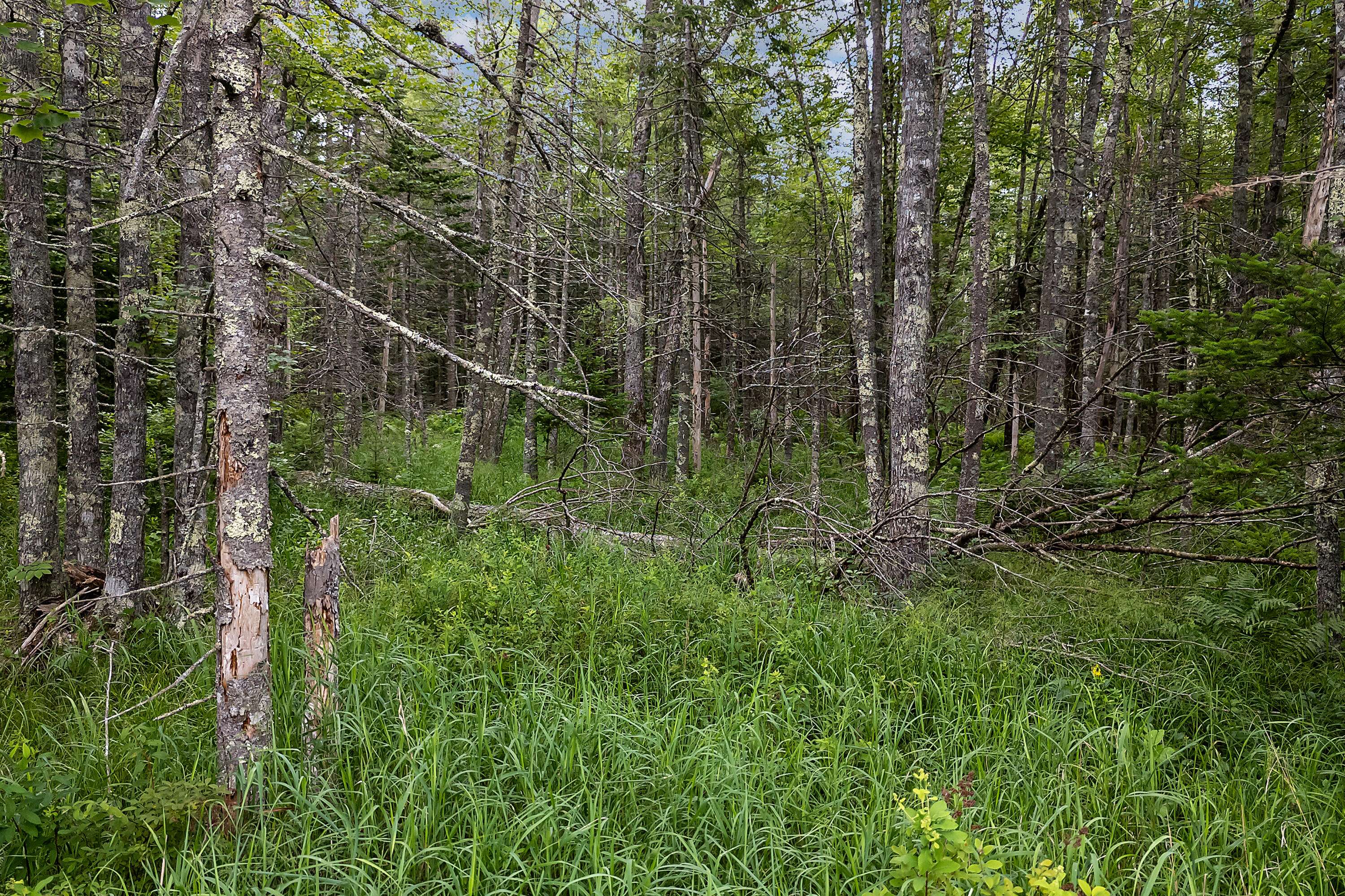 Waldoboro, ME 04572,273 Feylers Corner RD