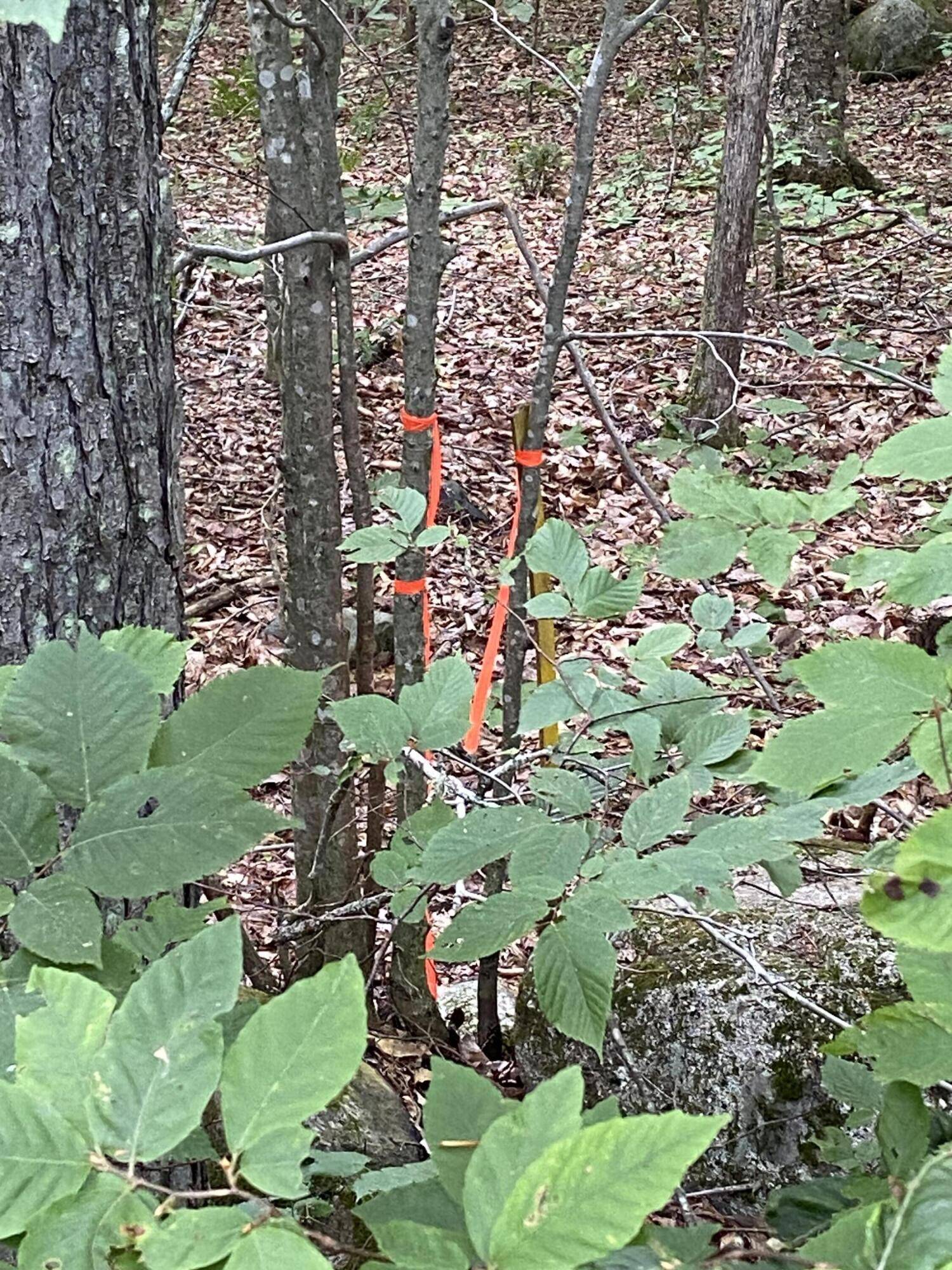 Athens, ME 04912,Map1Lot26 Daggett HL