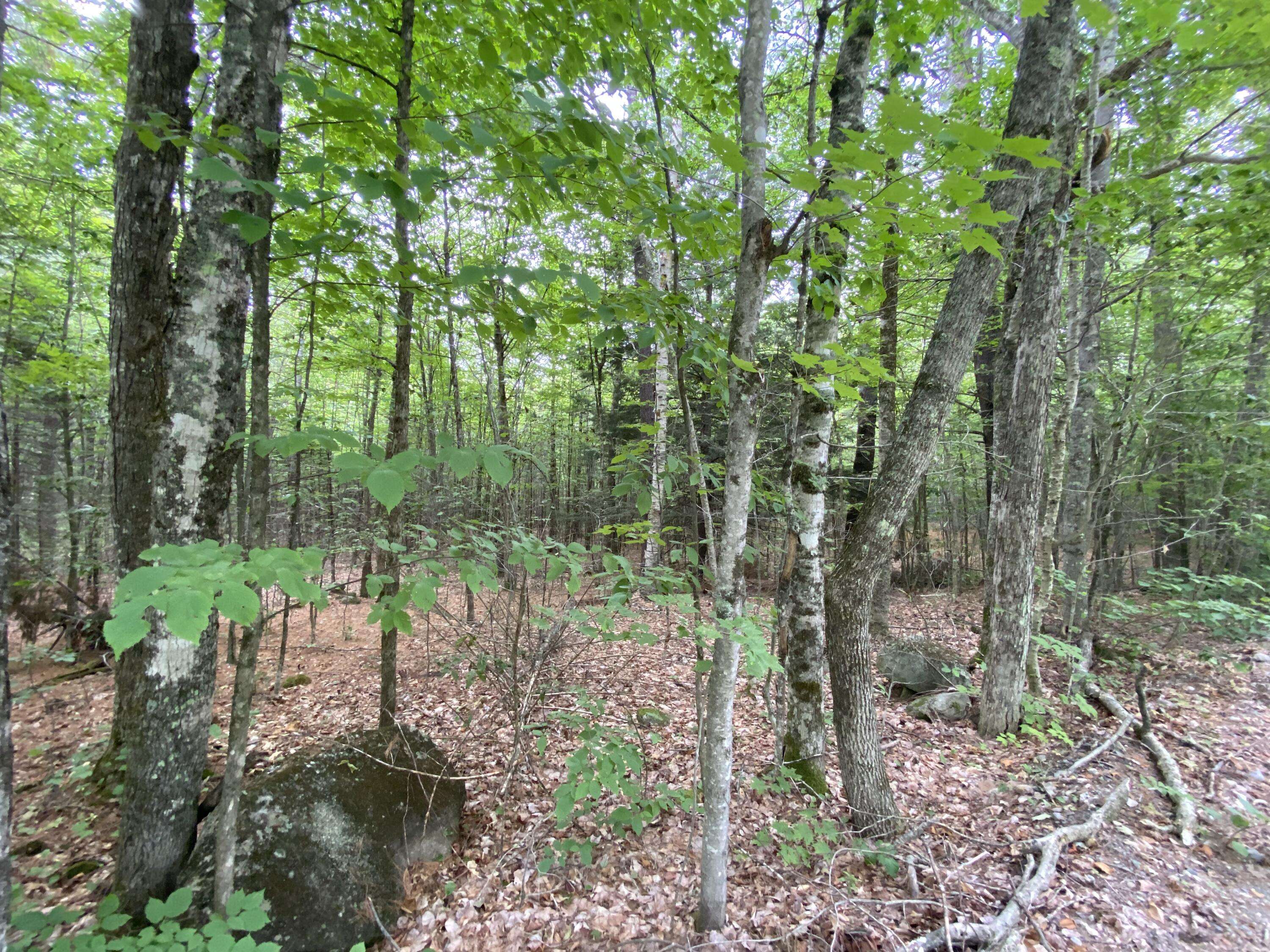 Athens, ME 04912,Map1Lot26 Daggett HL