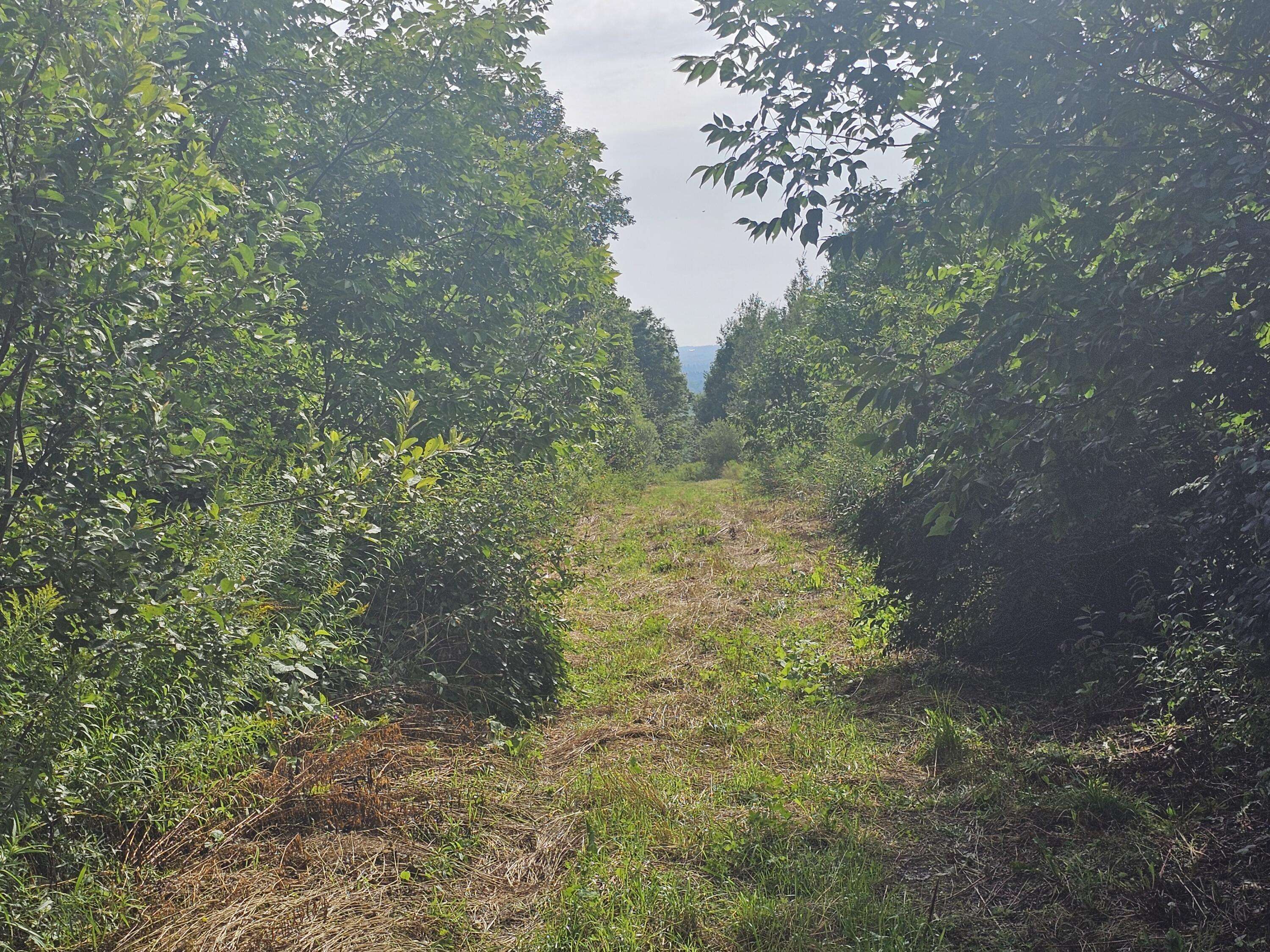 Patten, ME 04765,L3 M,R-1 Aroostook Scenic HWY