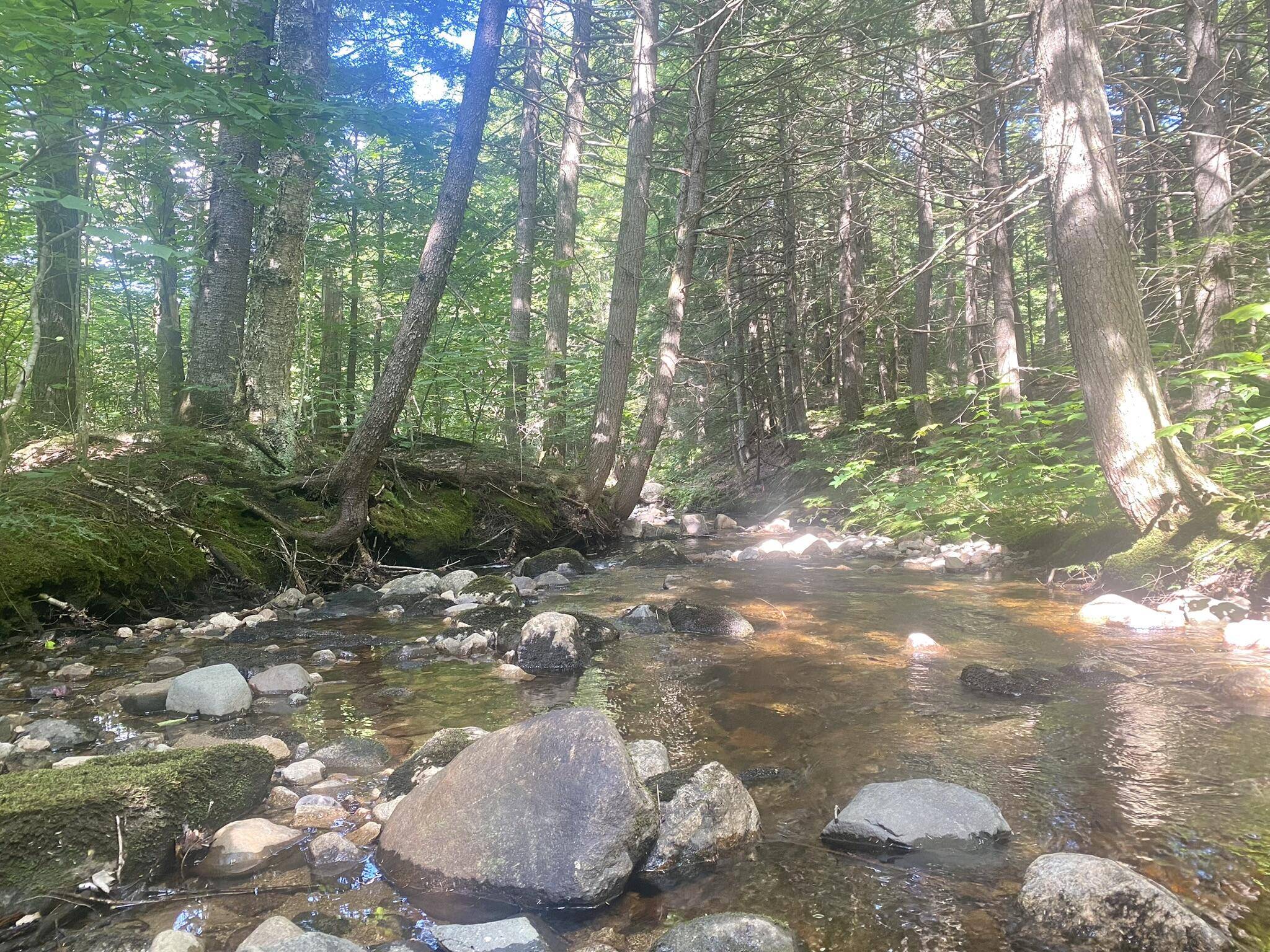 Eaton, NH 03832,2,4,6 Willis Bean RD